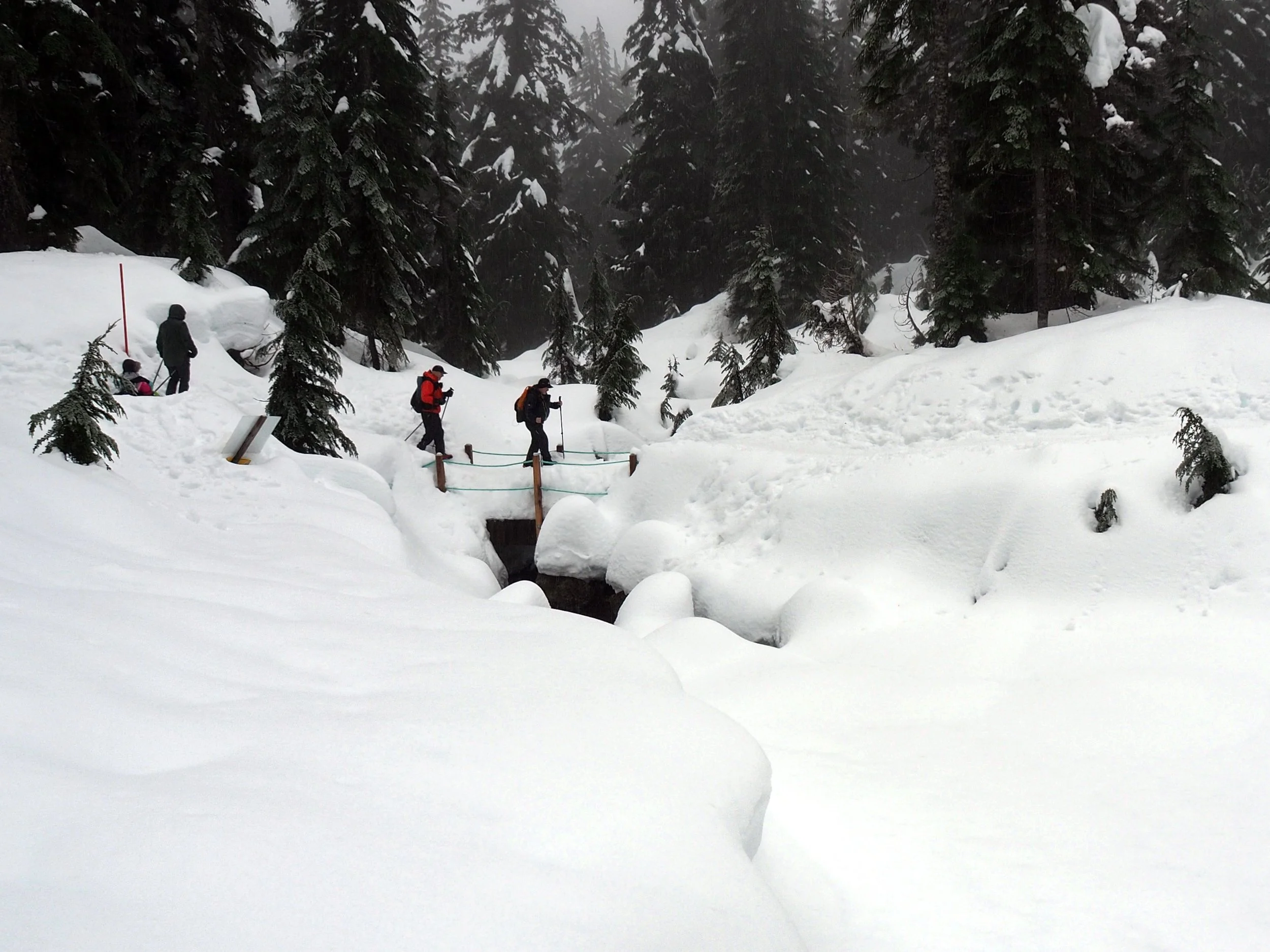 2023 02 12-Mt Semour-G2120596MC9x16.JPG