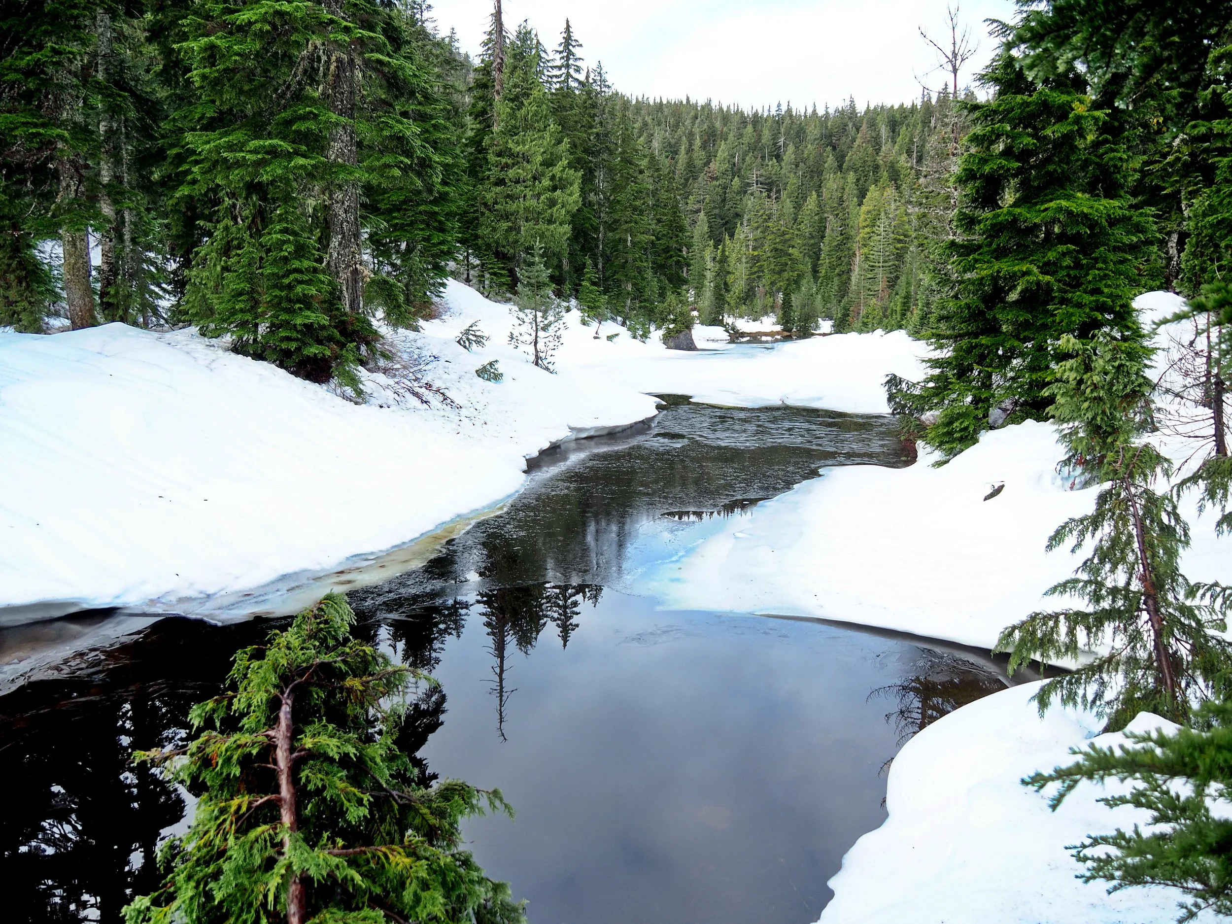 2023 01 15-Yew Lake-G1152891M2.JPG