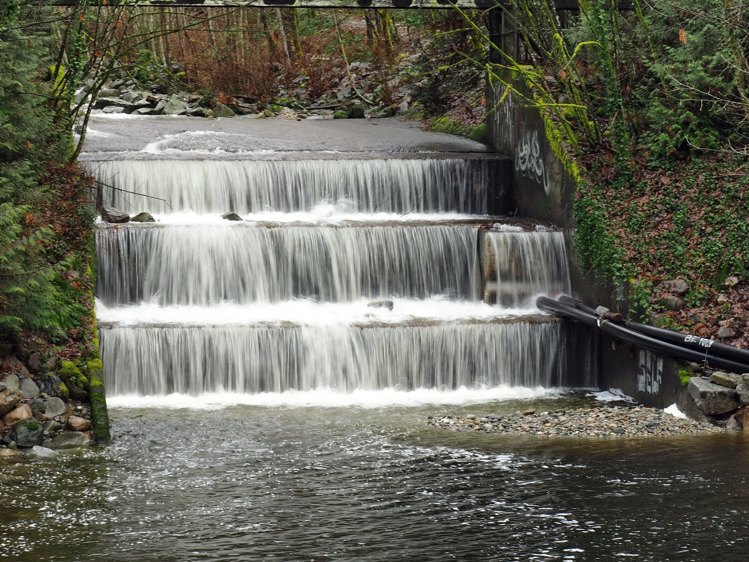 2023 02 05-Mosquito Creek-G2050421MC.JPG