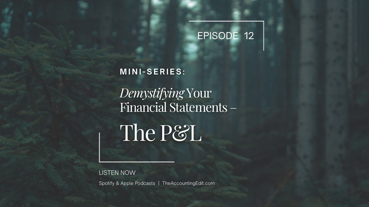 12. Mini-Series: Demystifying Your Financial Statements - P&amp;L