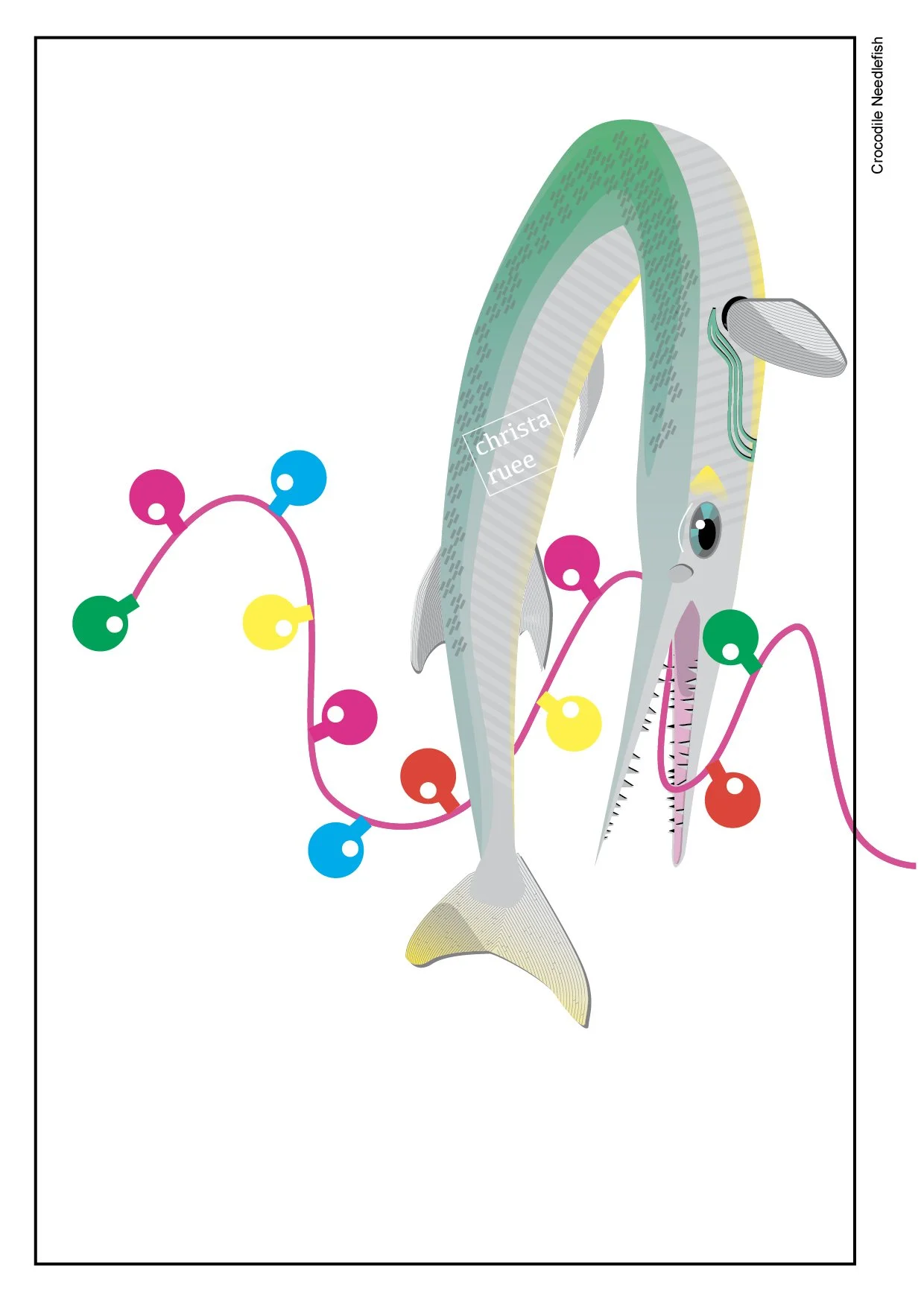 Crocodile Needlefish