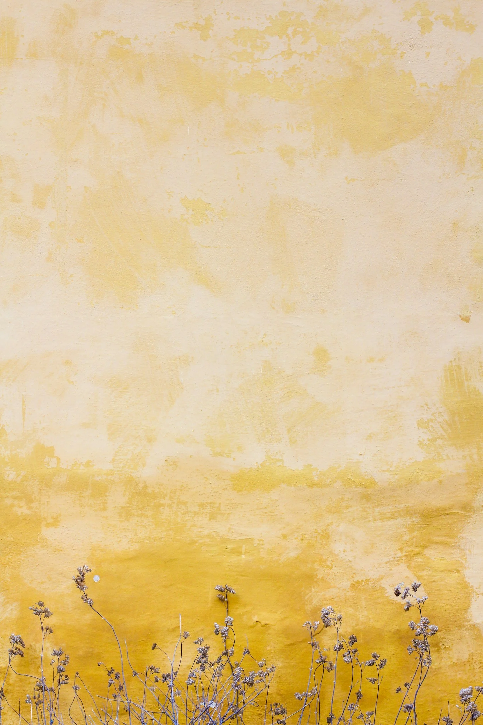 unsplash-image-vC8wj_Kphak.jpg