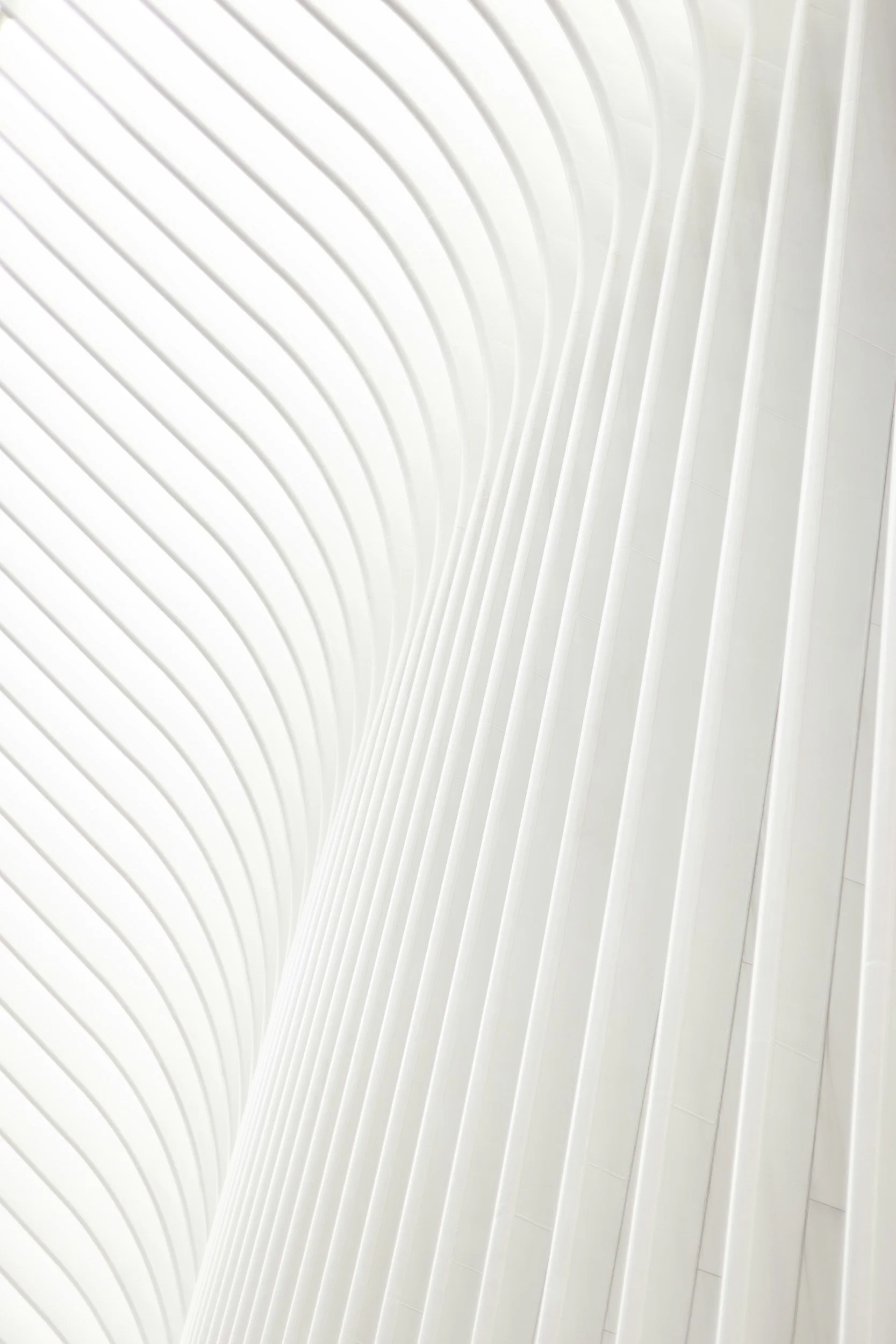 unsplash-image--n5F3fH0lIY.jpg