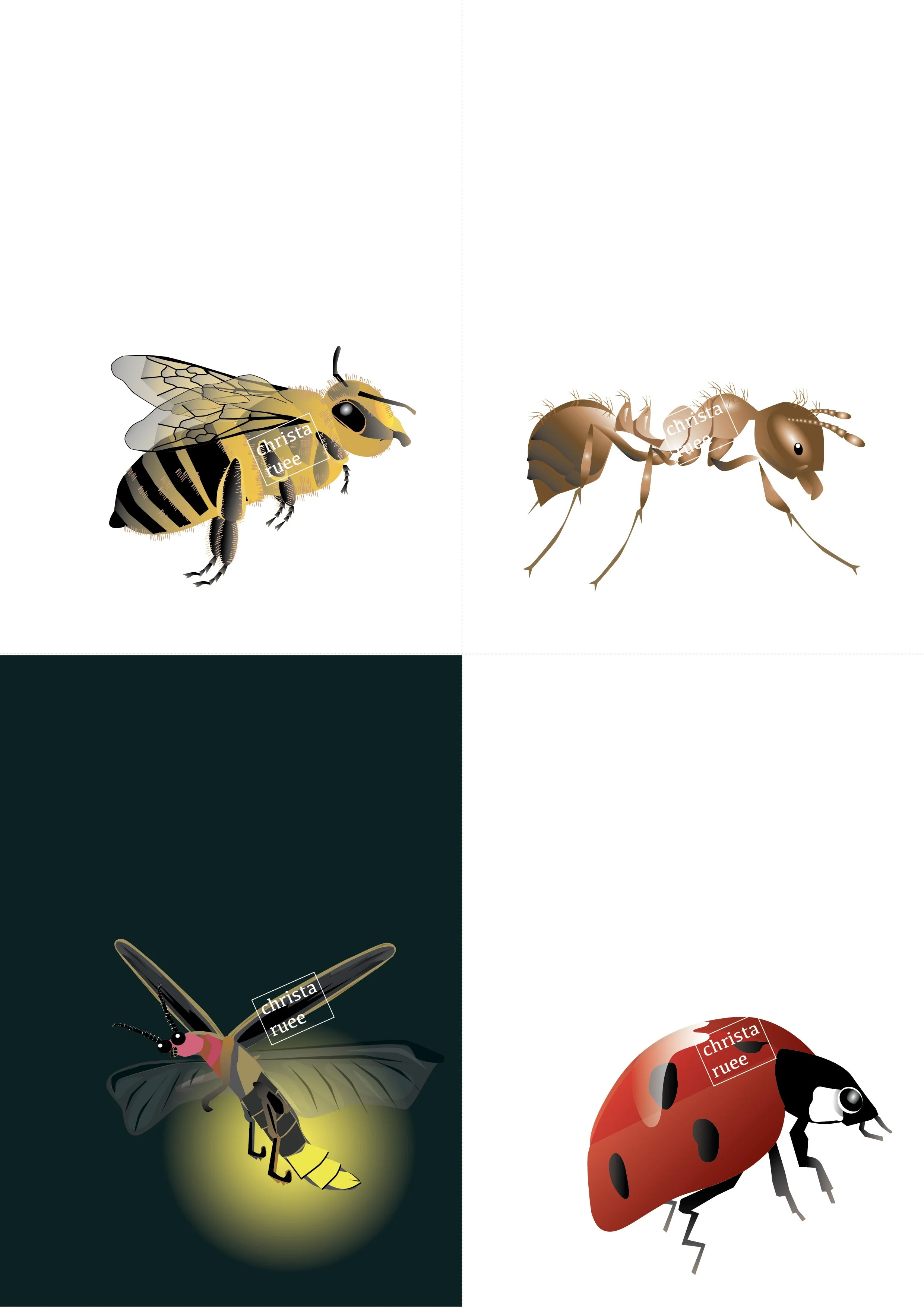 Insekten Bundle