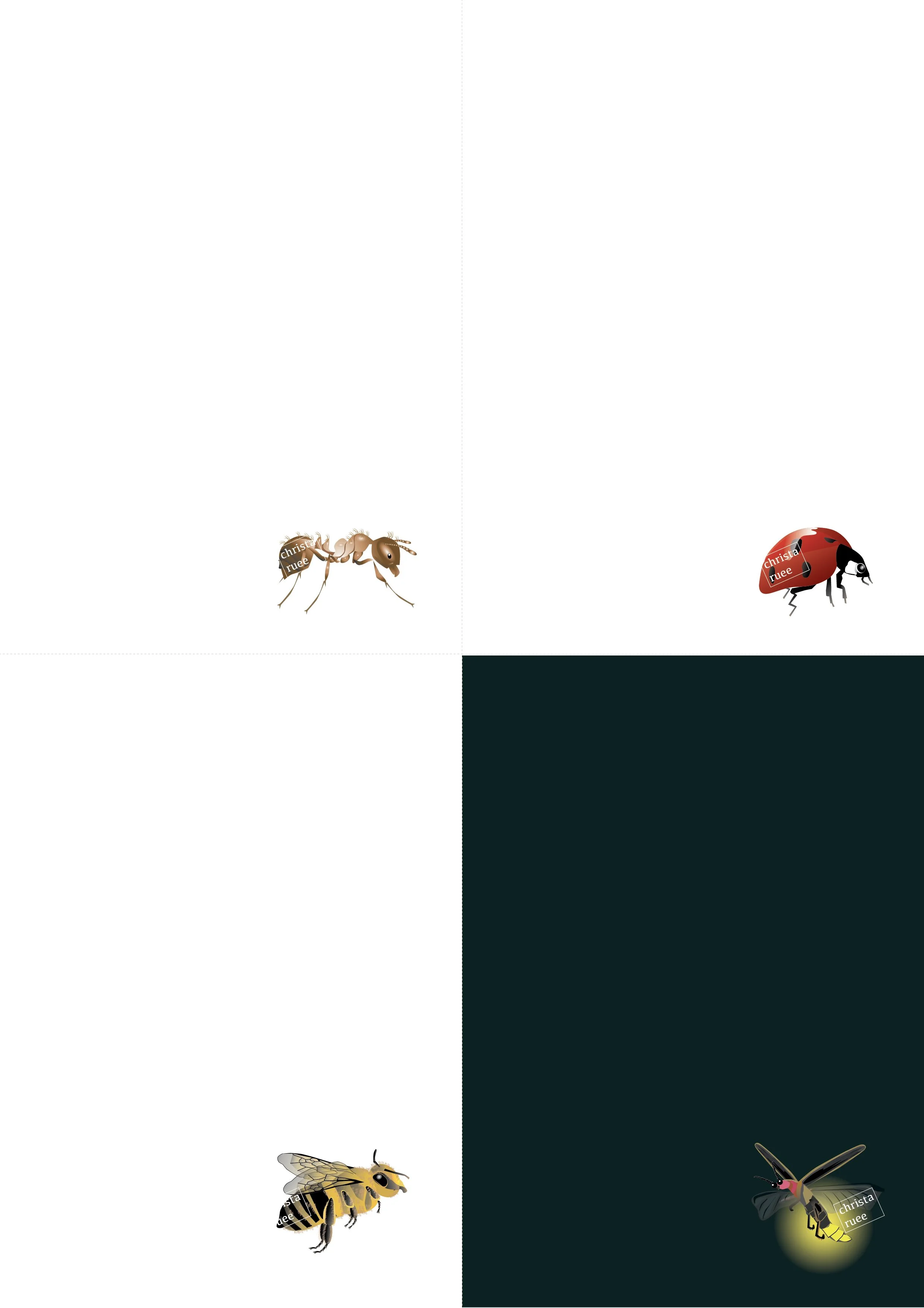 Mini Insekten Bundle