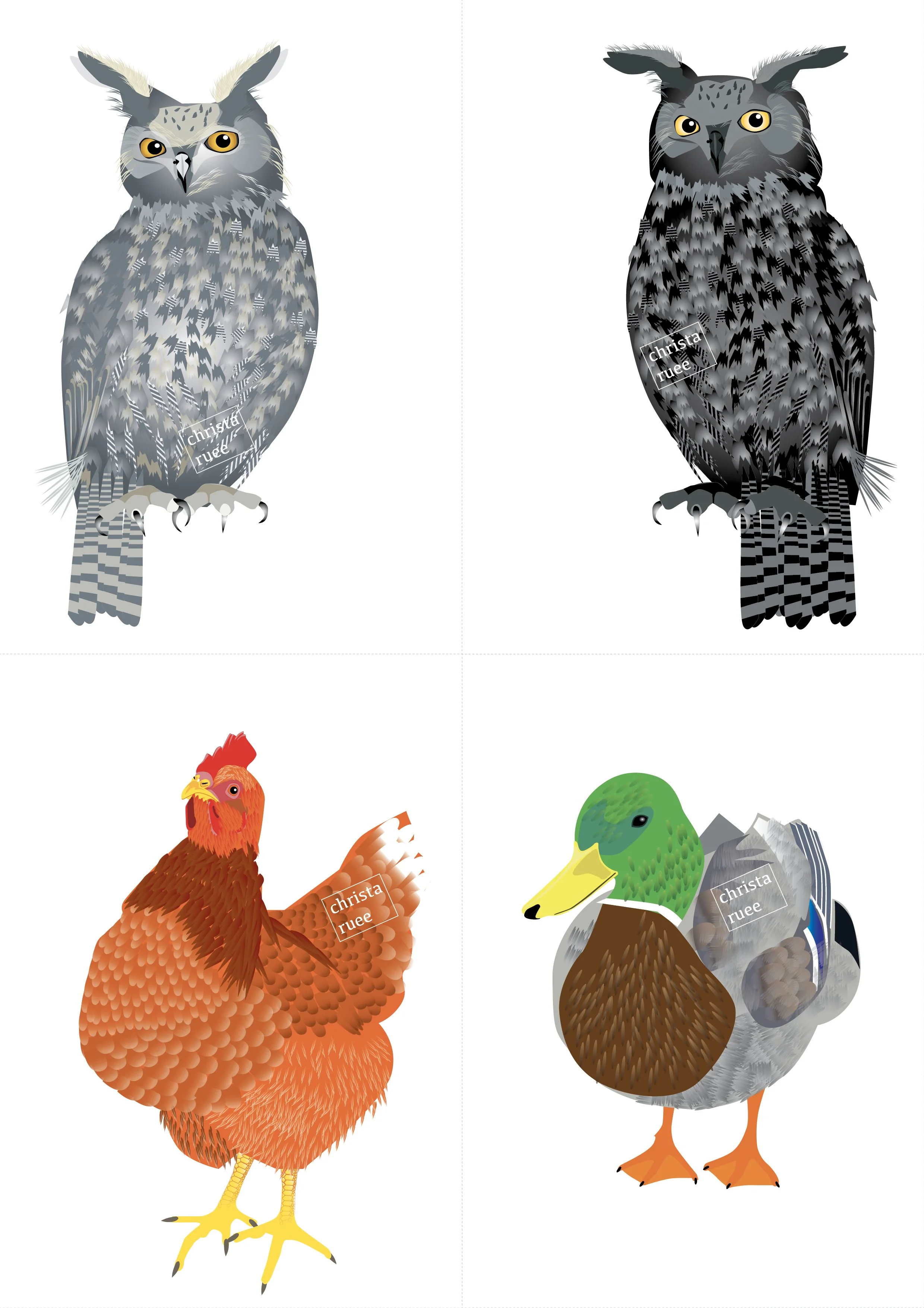 Grosse Vögel Bundle