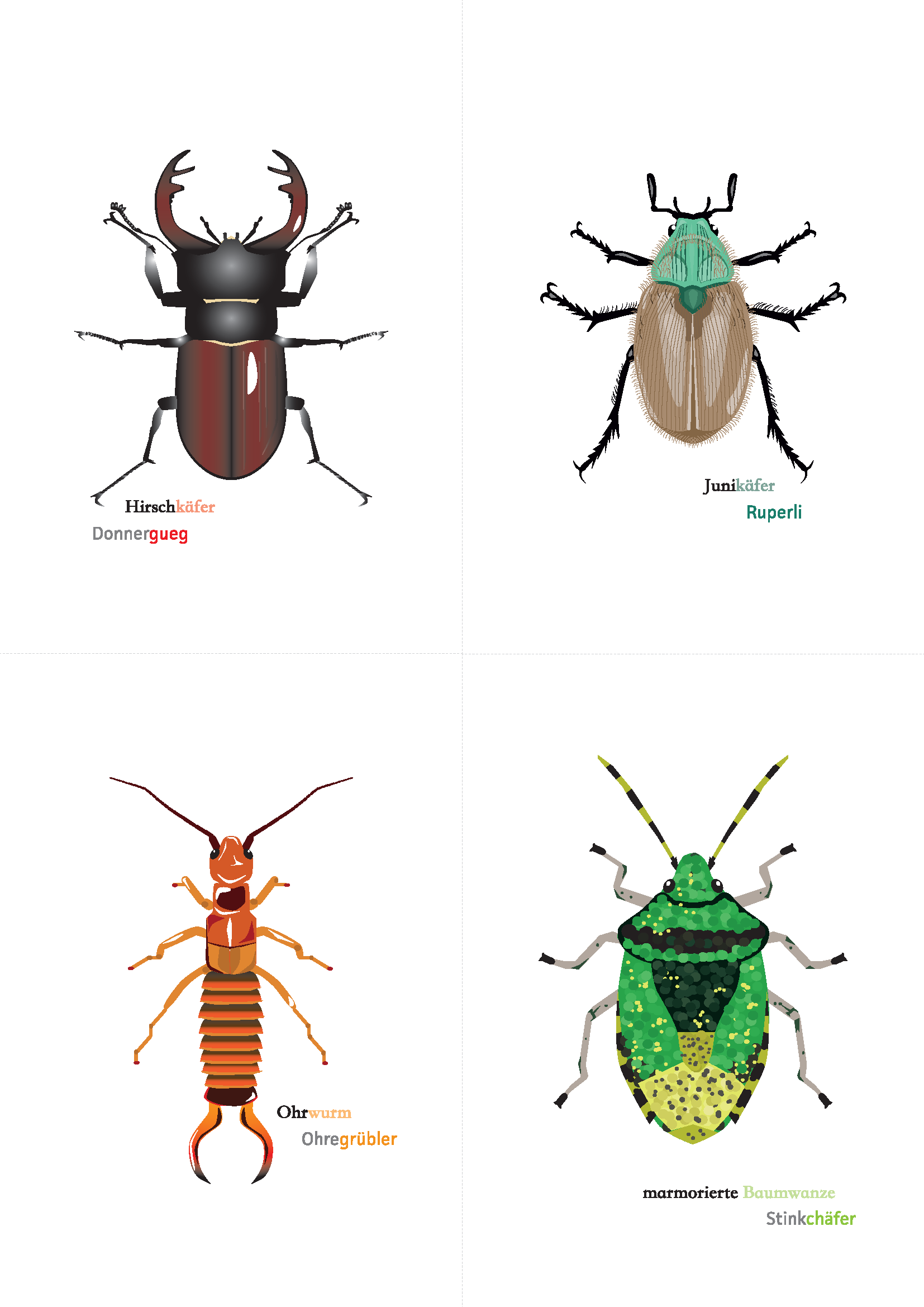 Postkarte zum Download Käfer