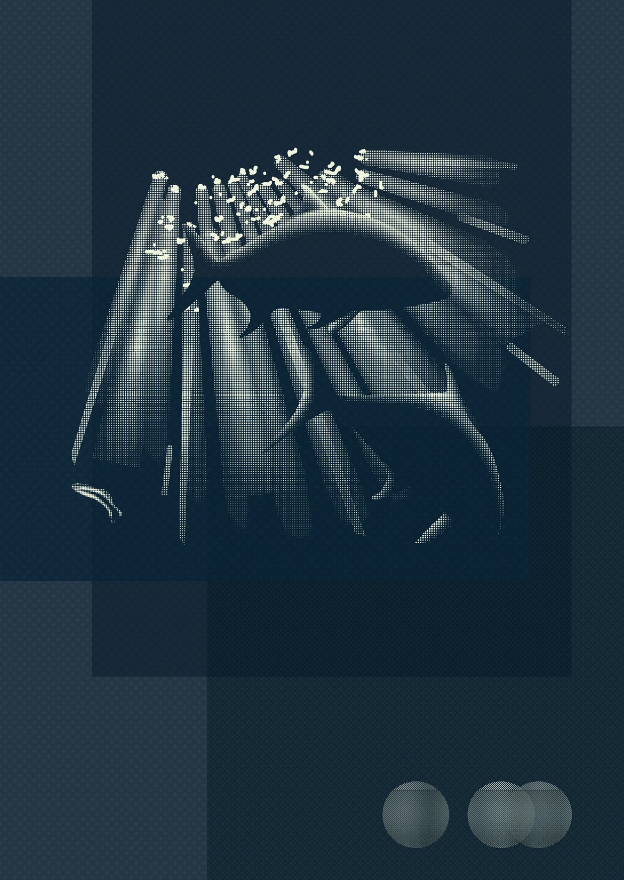 Grosse Bernsteinmakrele