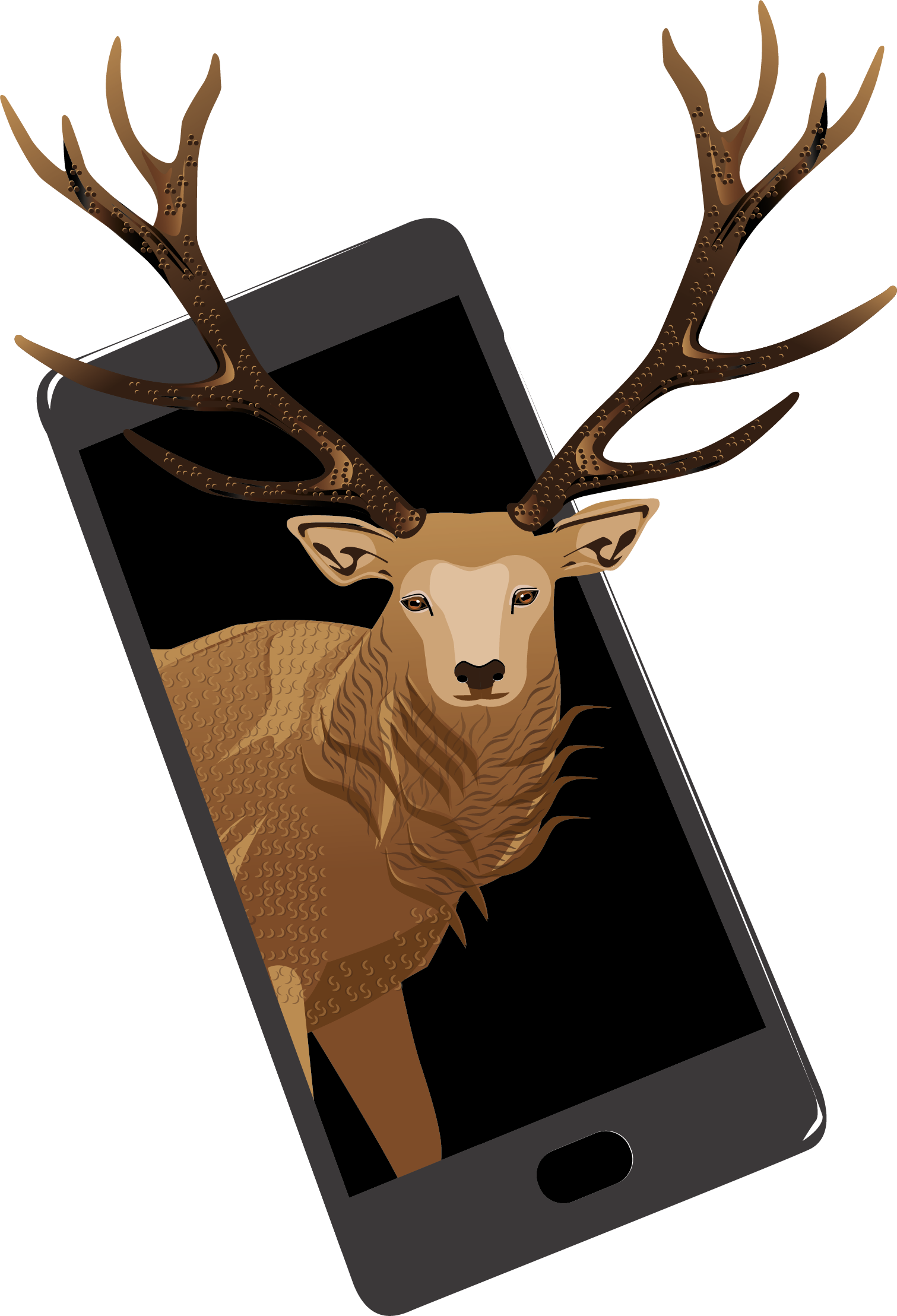 Tiere in der Schweiz Online Book