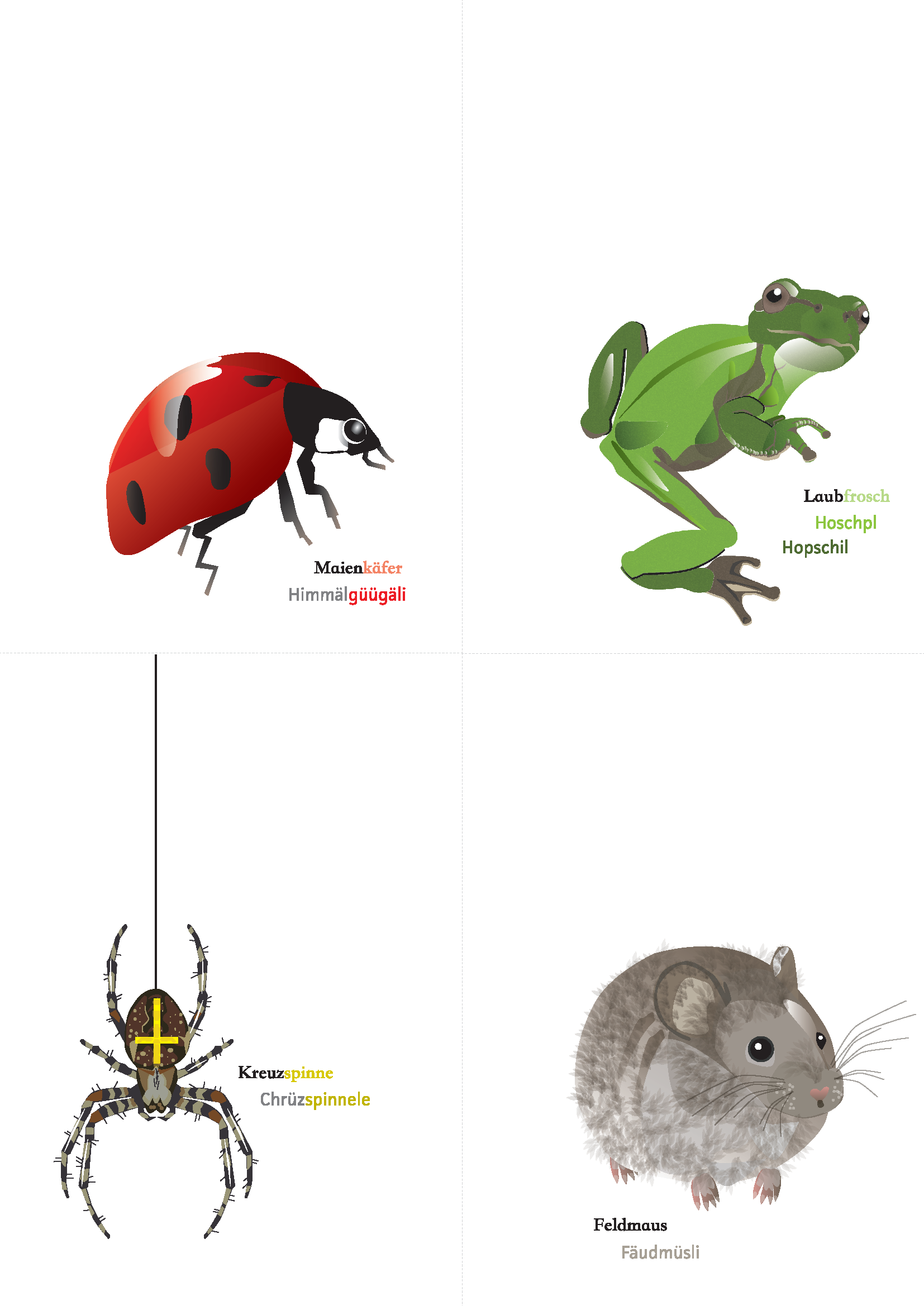 Postkarte zum Download Maienkäfer