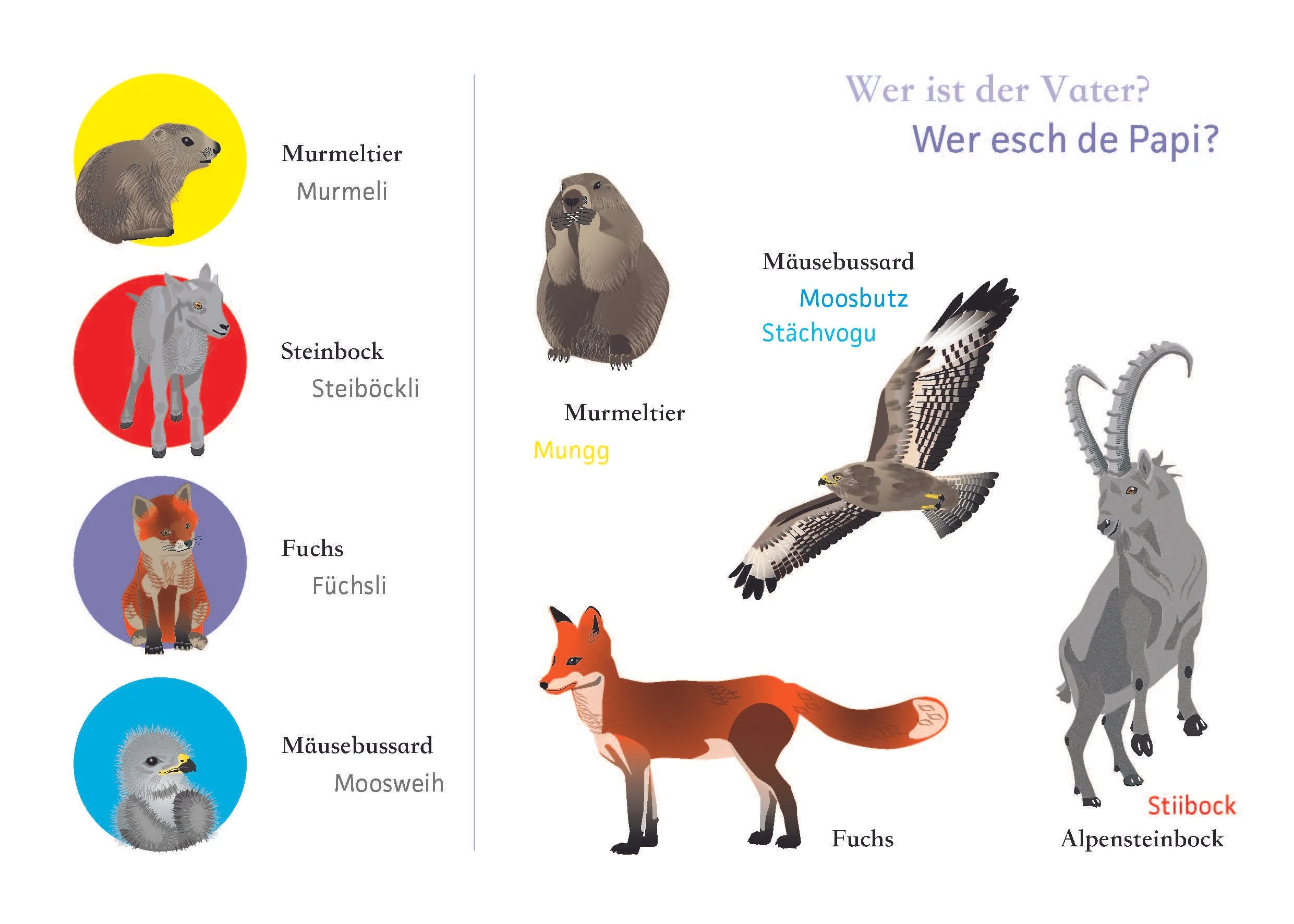 201114_Tiere-in-der-Schweiz-E-book_Page_04.jpg