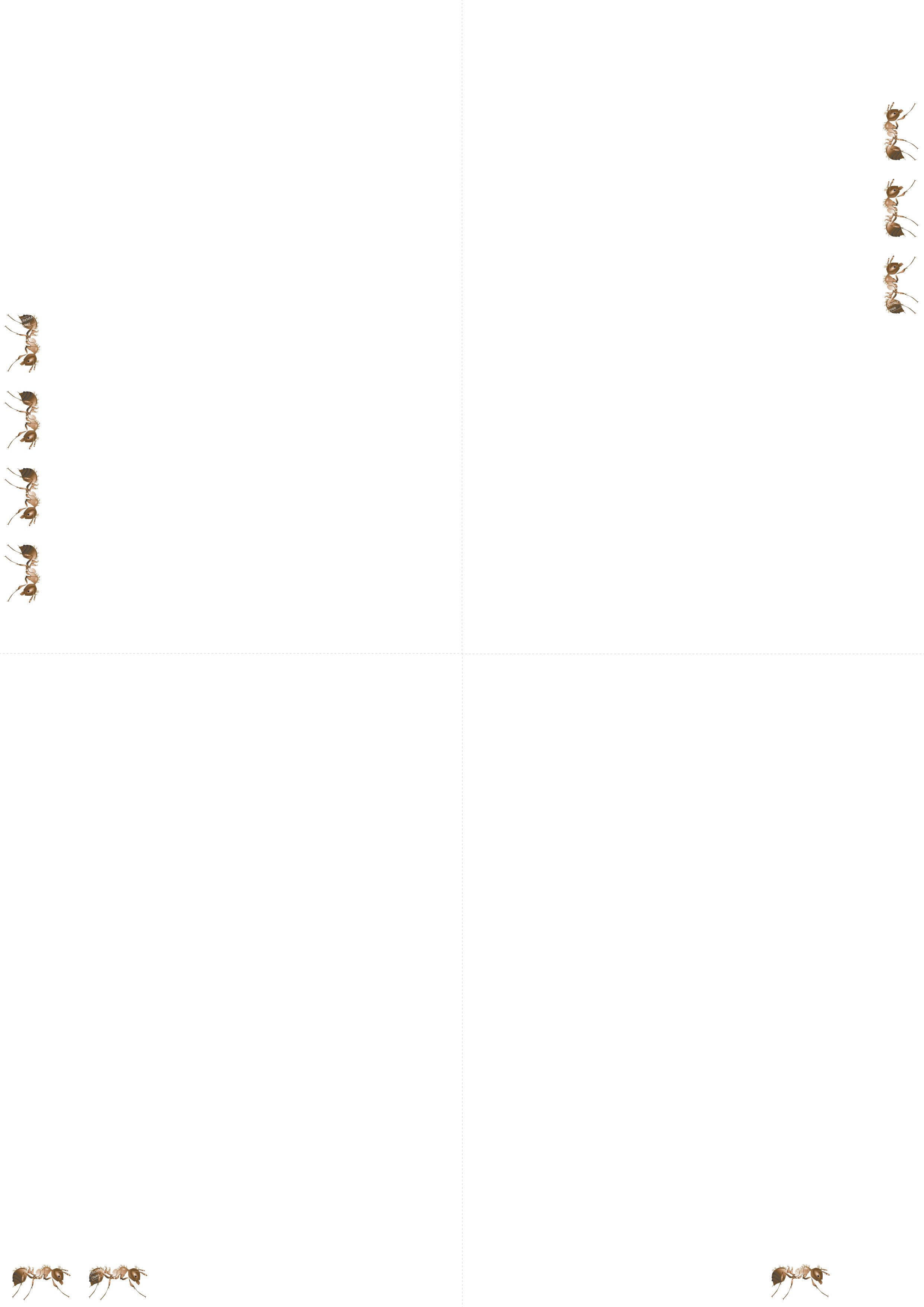 Marschierende Ameisen Bundel