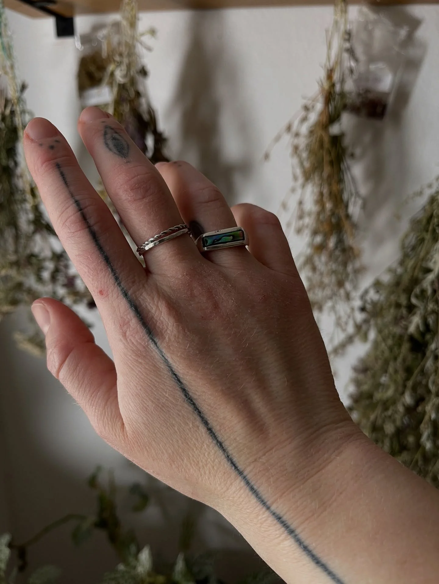 📸 Photo dump of some recent and older projects