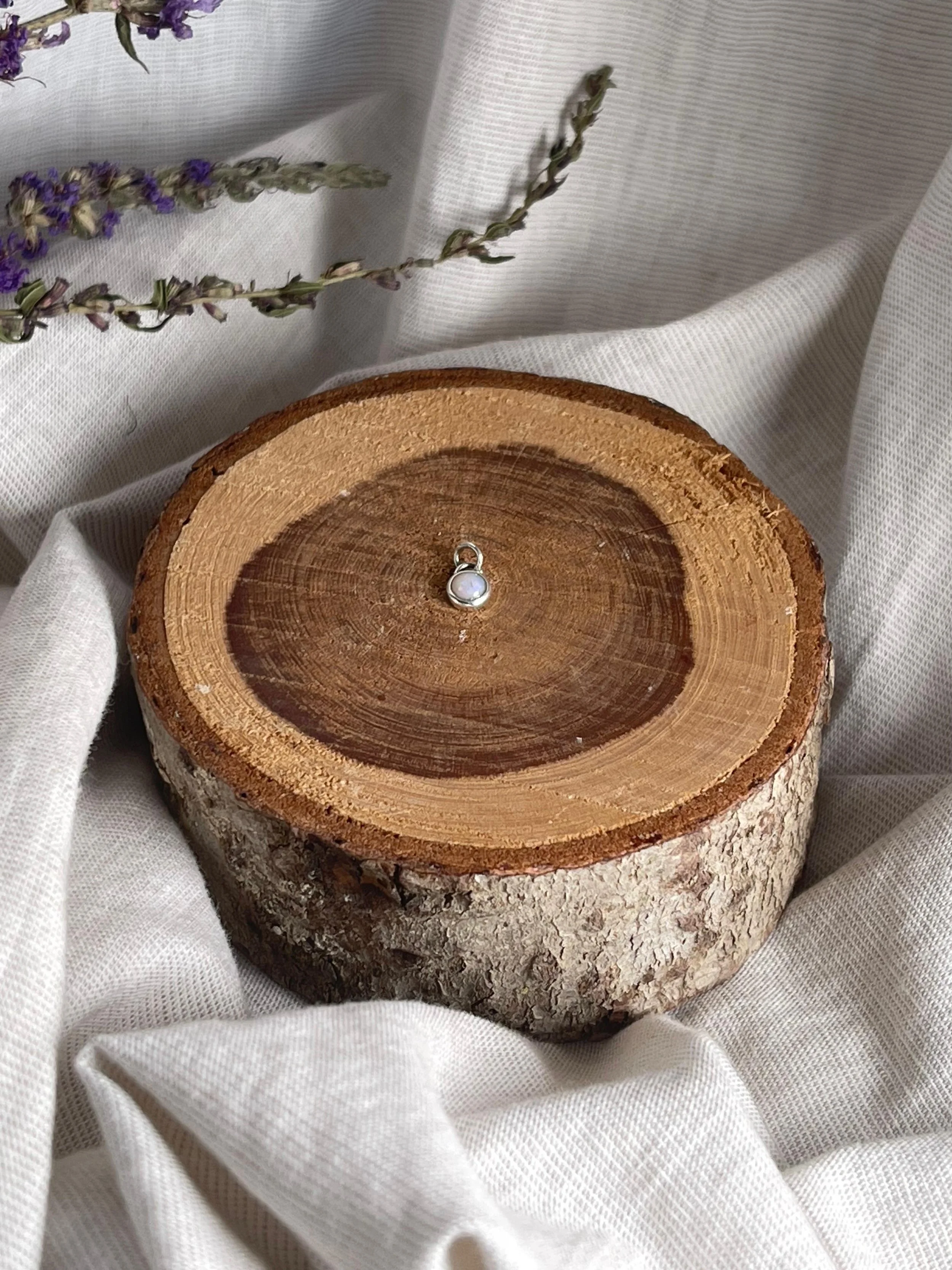 WhatsApp Image 2026-01-16 at 11.41.13-2.jpeg