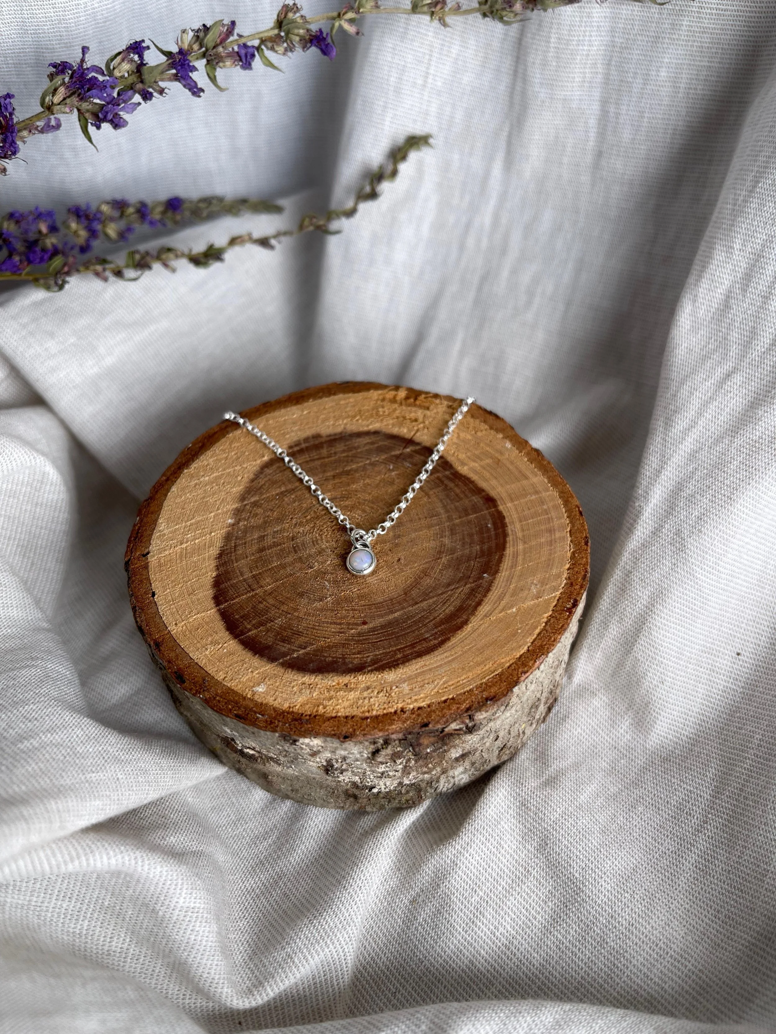 WhatsApp Image 2026-01-16 at 11.42.10.jpeg