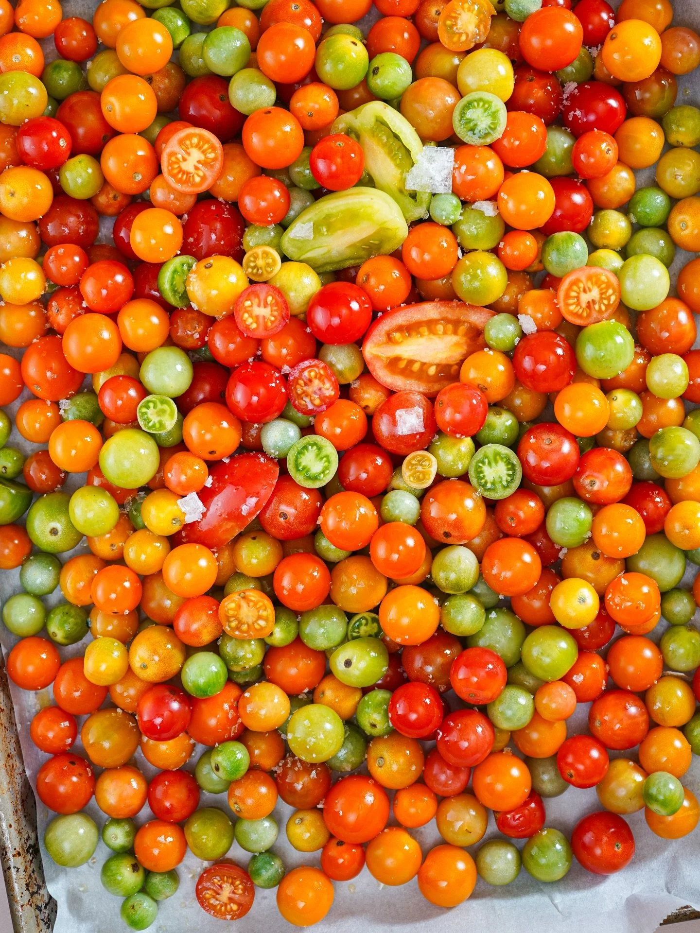 I picked these tomatoes about a month ago while they were still completely green. With the frost rolling in, I didn&rsquo;t want to lose them, so I set them beside a few apples picked from a friend&rsquo;s yard and let the ethylene gas do the ripenin