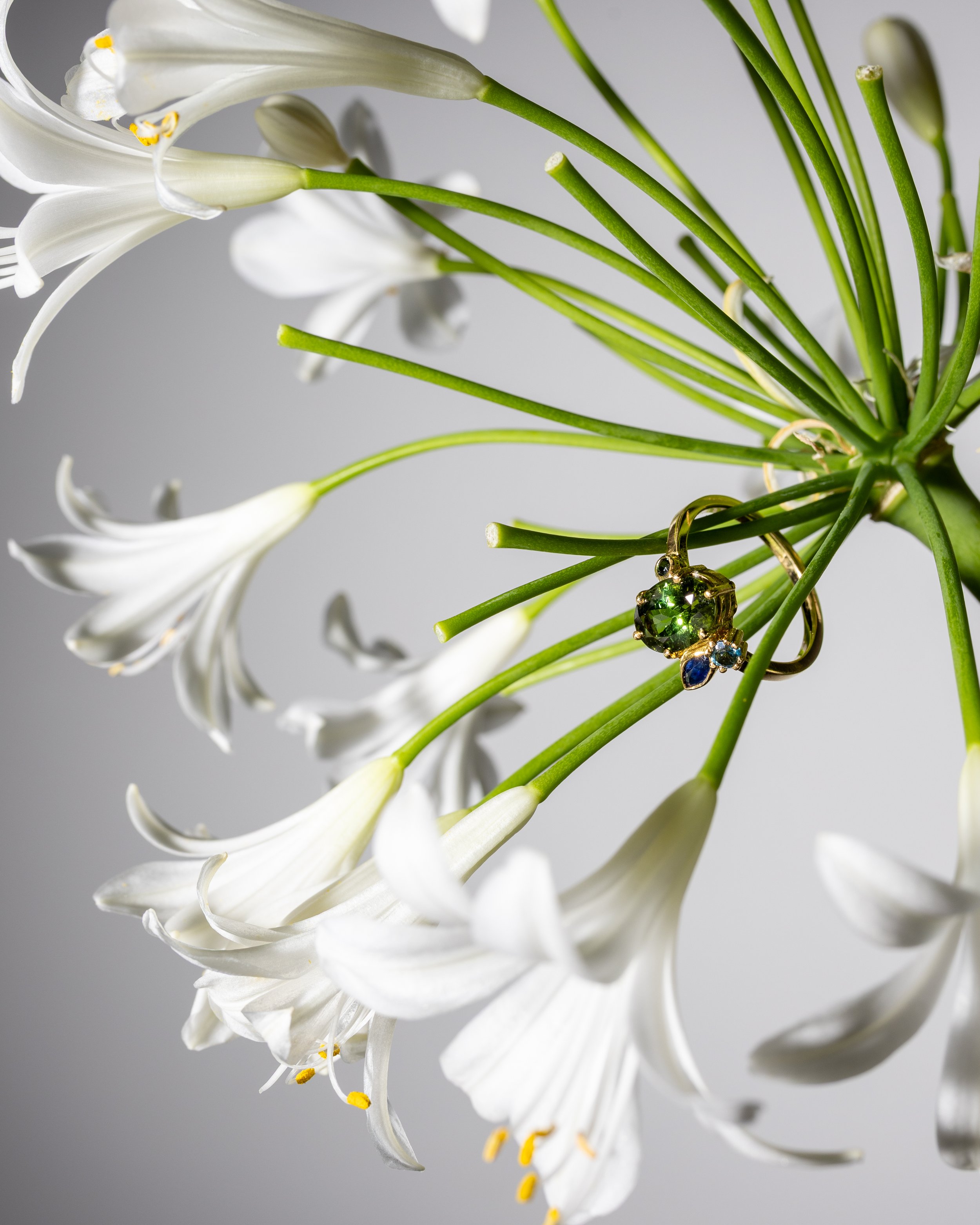 product shot ring product fotografie opglabbeek belgie limburg cindy vanderlinden