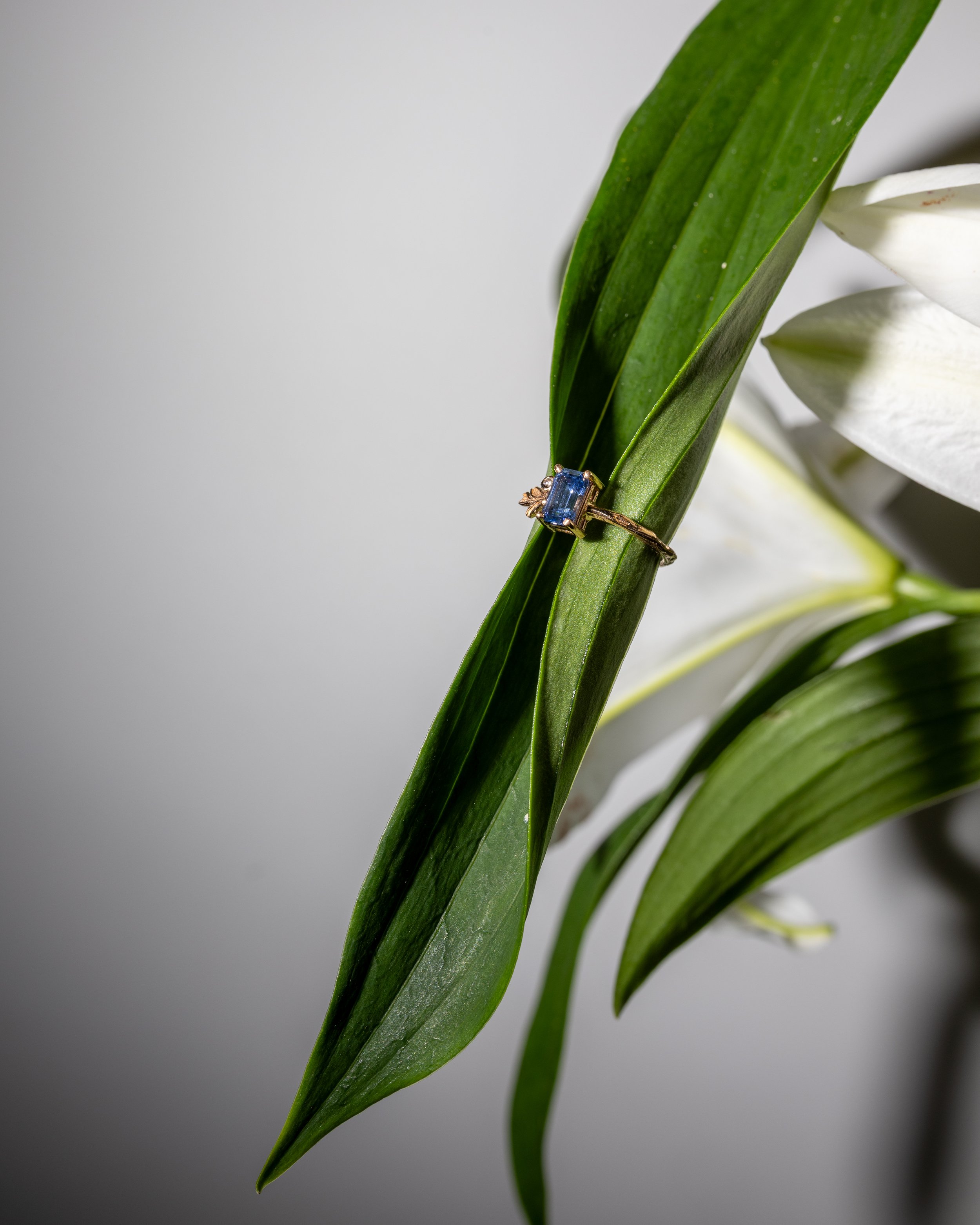 cindyvdlphotography-72.jpg