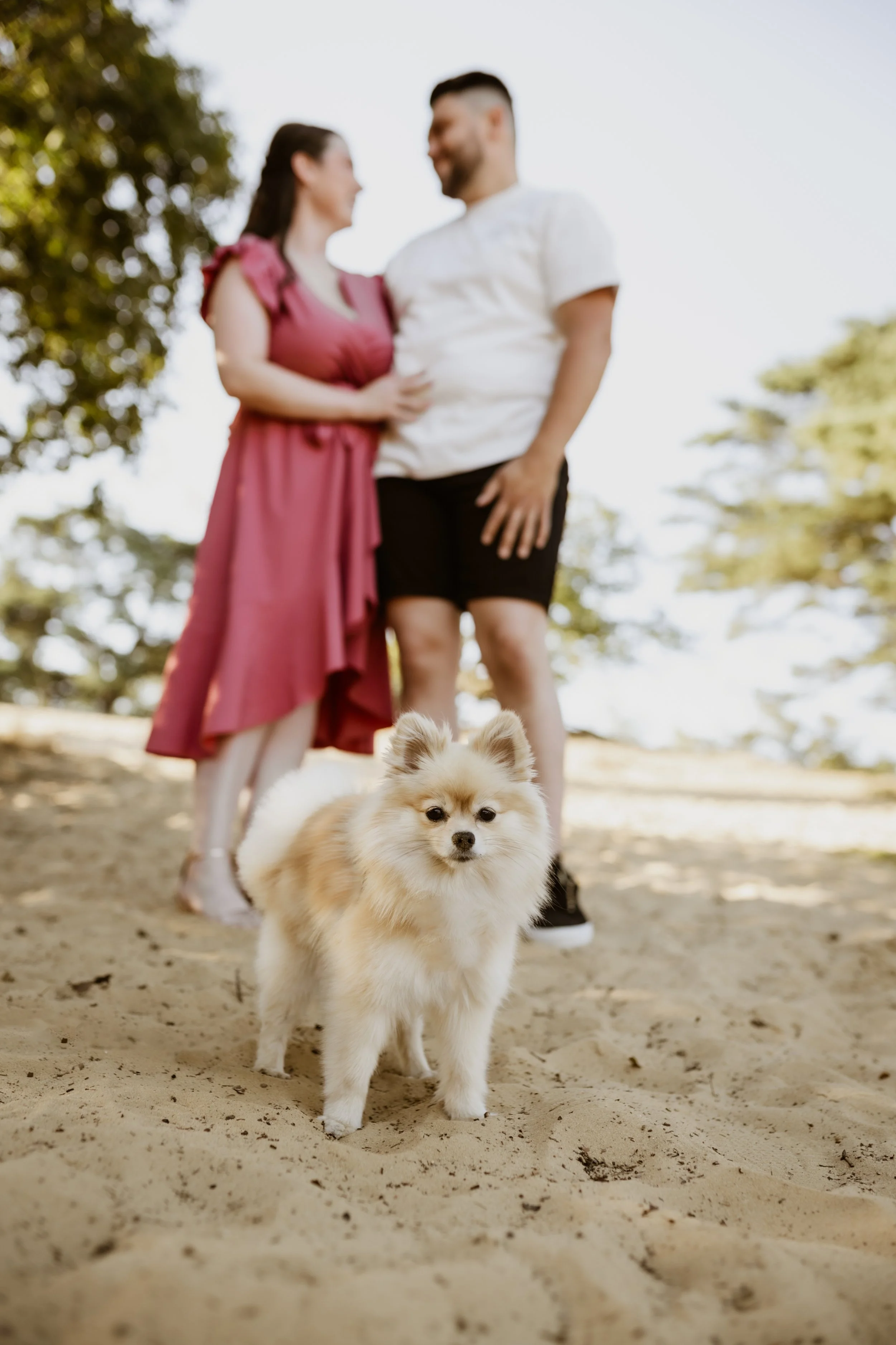 FOTOGRAAF OPGLABBEEK KOPPEL SHOOT GEZIN
