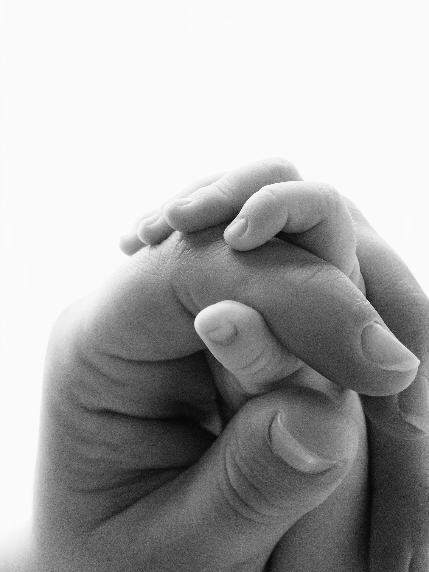 The sweetest black and white details 🤍

For more information + bookings, head to www.sageandcophotography.com 

📍Private Raceview Studio, Servicing Ipswich + Surrounds