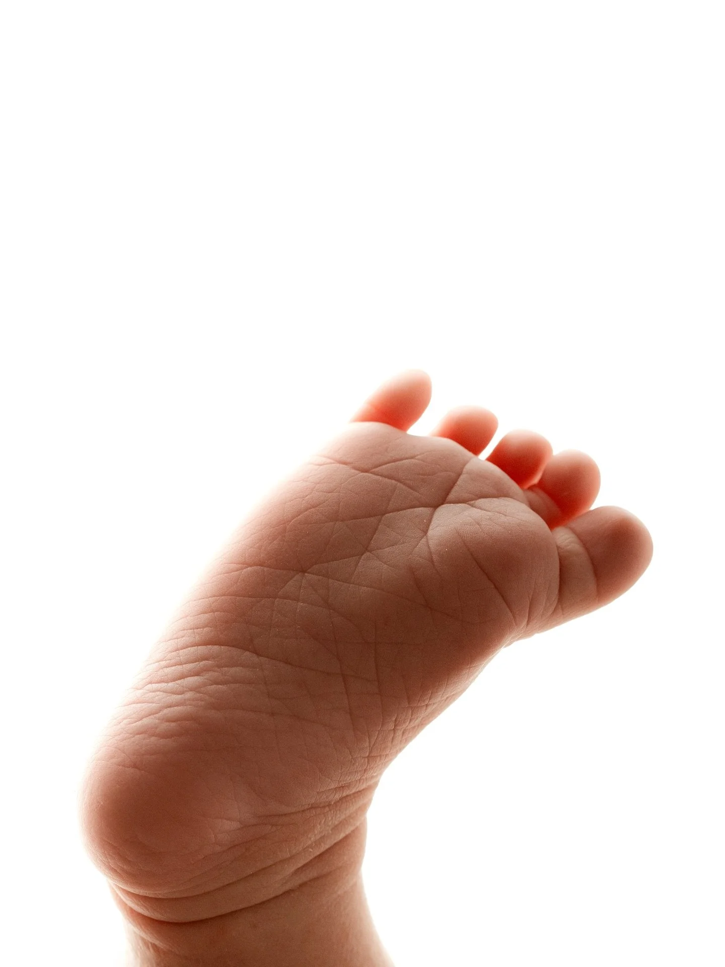 Is that a little sweet treat? 
It looks like a sweet treat 🥹

For more information + bookings, head to www.sageandcophotography.com 

📍Private Raceview Studio, Servicing Ipswich + Surrounds