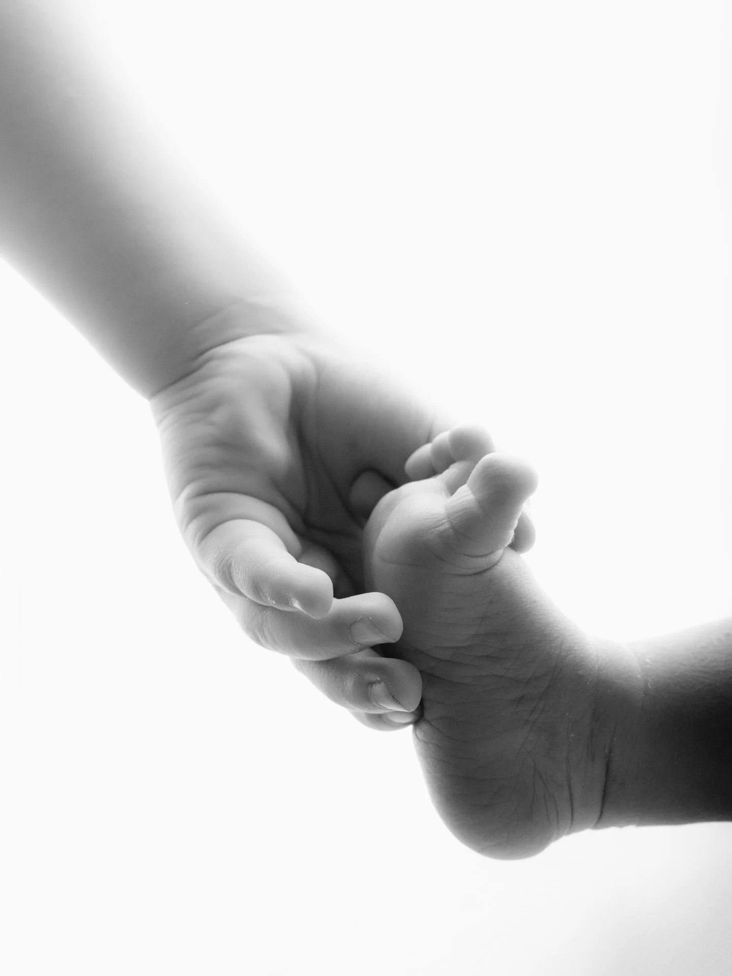 Big Sister, Little Brother 🥹

For more information + bookings, head to www.sageandcophotography.com 

📍Private Raceview Studio, Servicing Ipswich + Surrounds