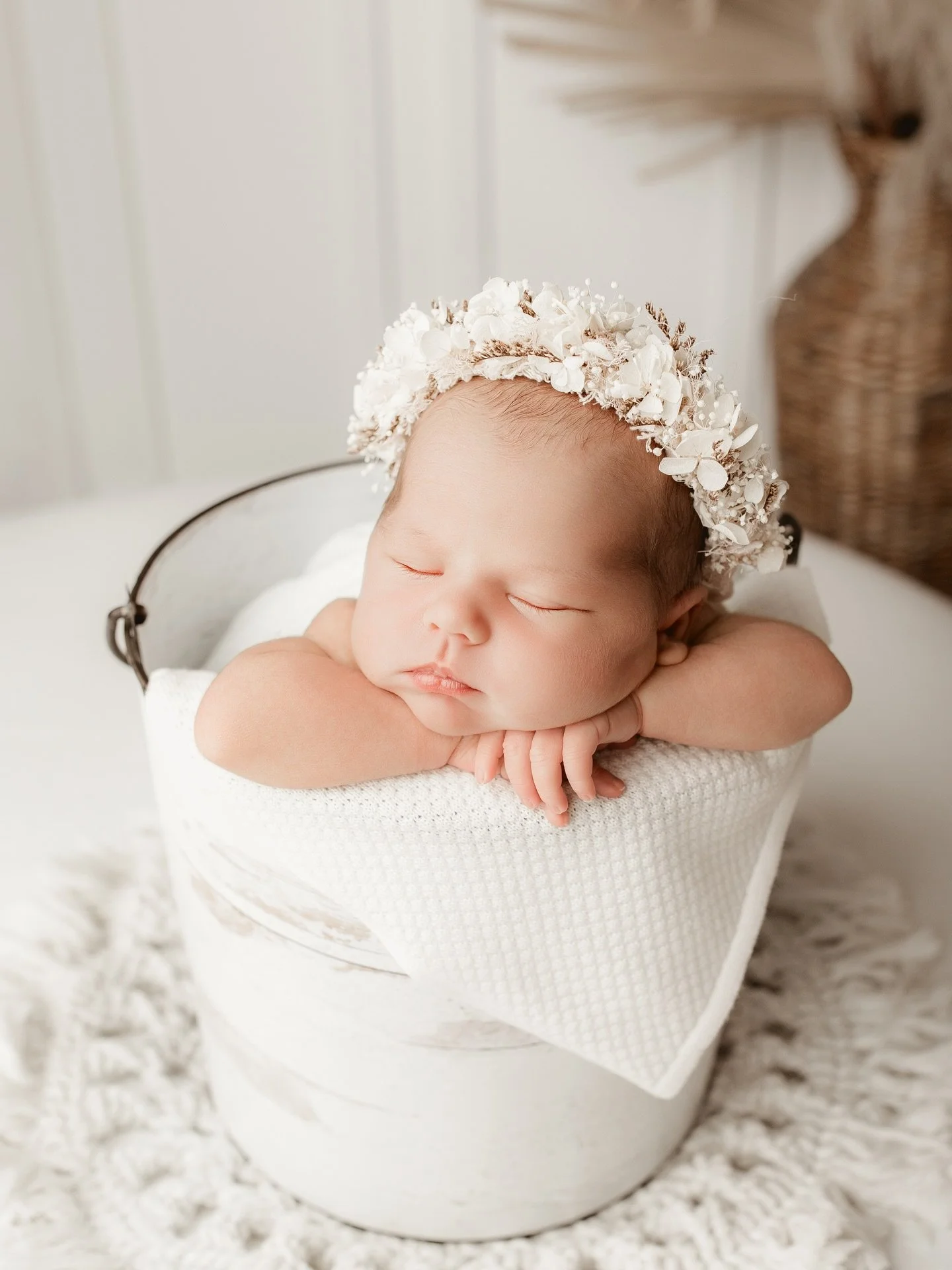 A baby in a bucket will never not be a fan favourite 🪣
The bucket is my most requested pose this year! I can&rsquo;t blame them 🥹 

Do you want your tiny baby posed in a tiny bucket? 

For more information + bookings, head to www.sageandcophotograp