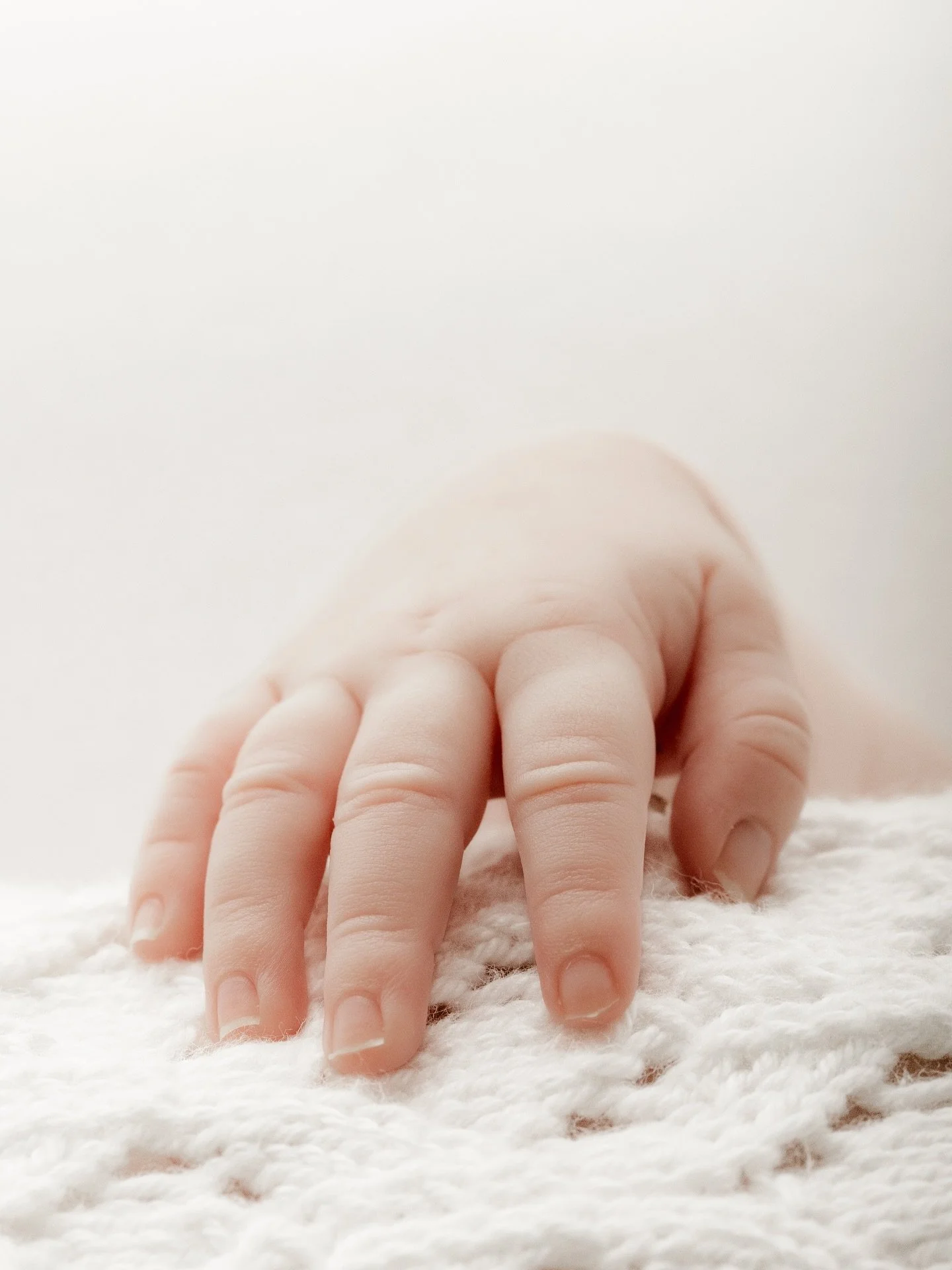 The tiniest little details that need to be preserved for all of time 🕊️

For more information + bookings, head to www.sageandcophotography.com 

📍Private Raceview Studio, Servicing Ipswich + Surrounds