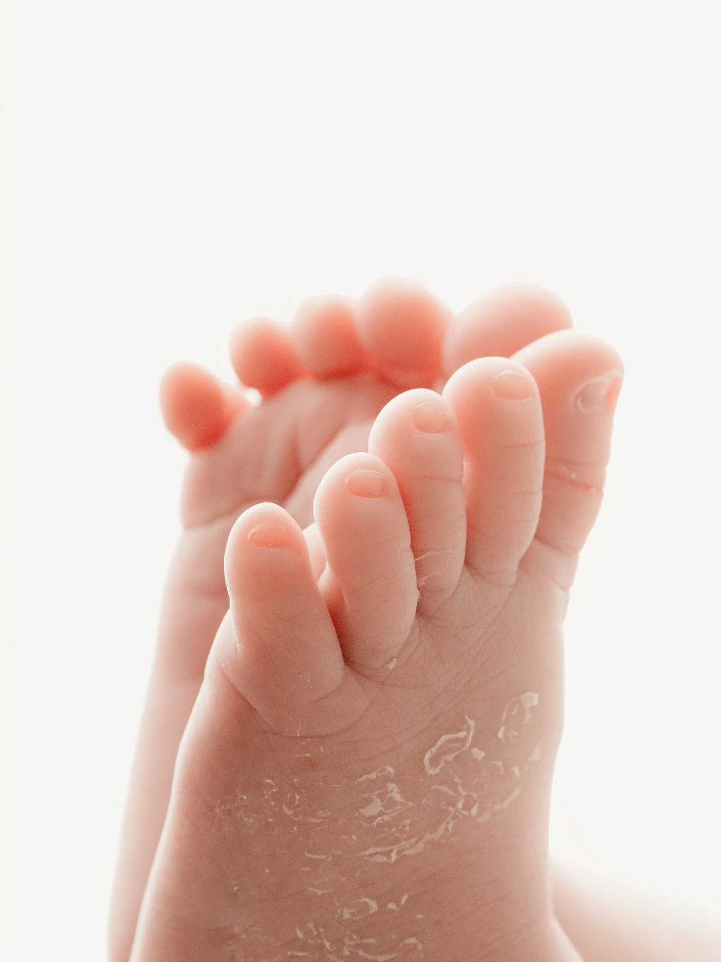 Happy Sunday 🤍 
Here&rsquo;s your weekly toes of baby toes 🥹

Now booking due dates May - August 🕊️

For more information + bookings, head to www.sageandcophotography.com 

📍Private Raceview Studio, Servicing Ipswich + Surrounds
