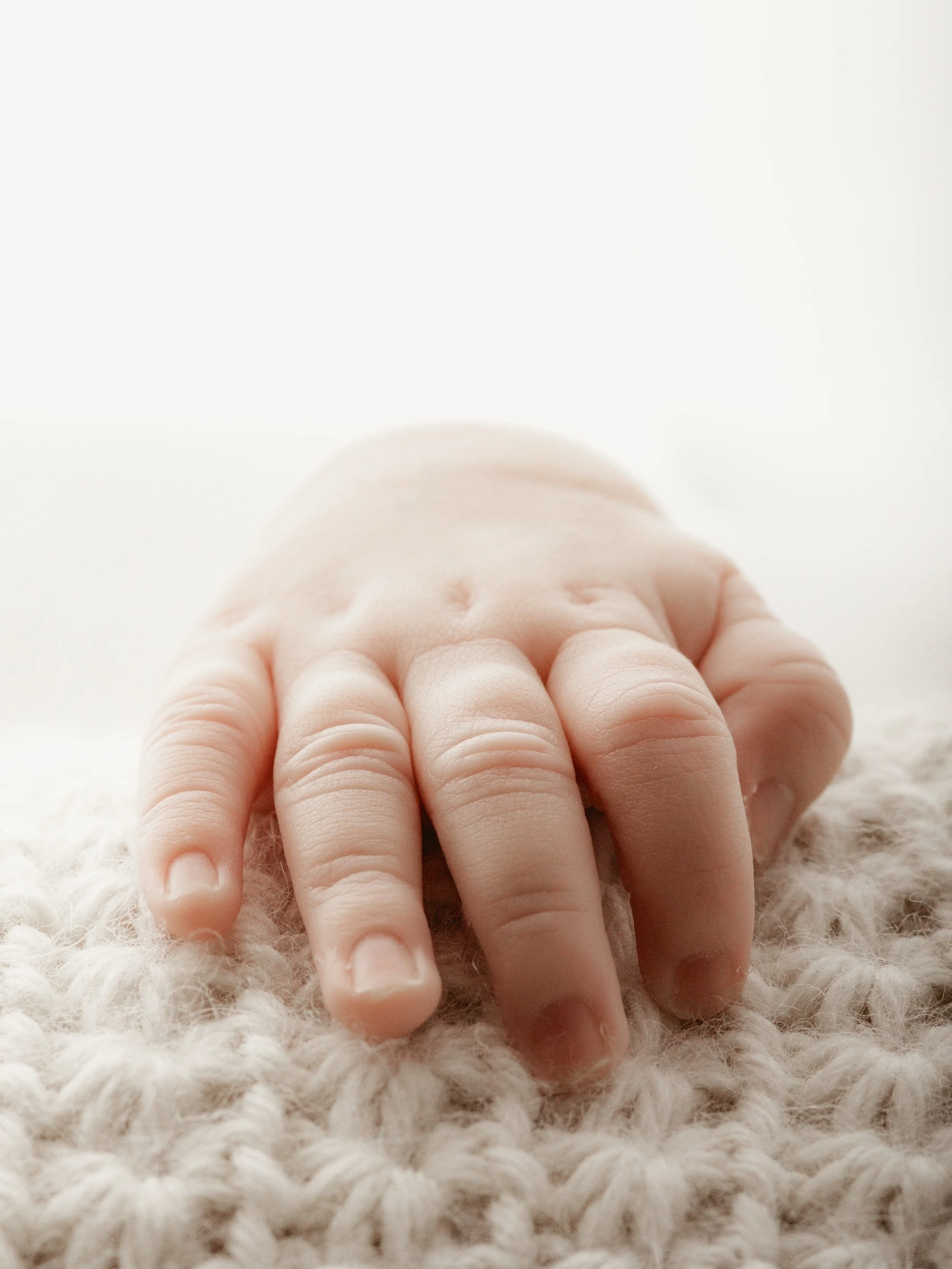 Five tiny little fingers ✨

The sweetest little details. They change so quickly, almost every blink! 

For more information + bookings, head to www.sageandcophotography.com 

📍Private Raceview Studio, Servicing Ipswich + Surrounds