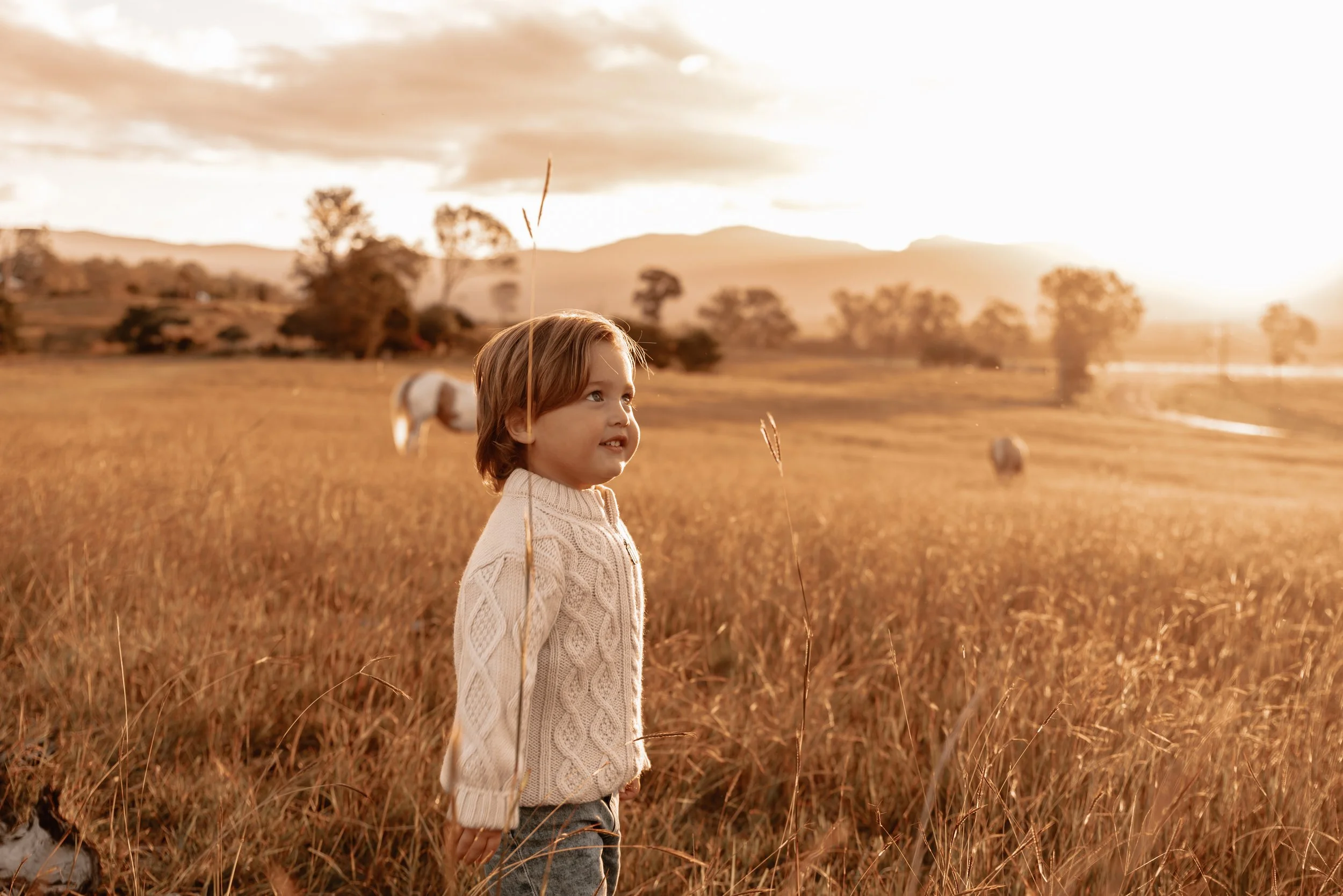 A young boy in a beige sweater standing in a golden field at sunset with horses grazing in the background.