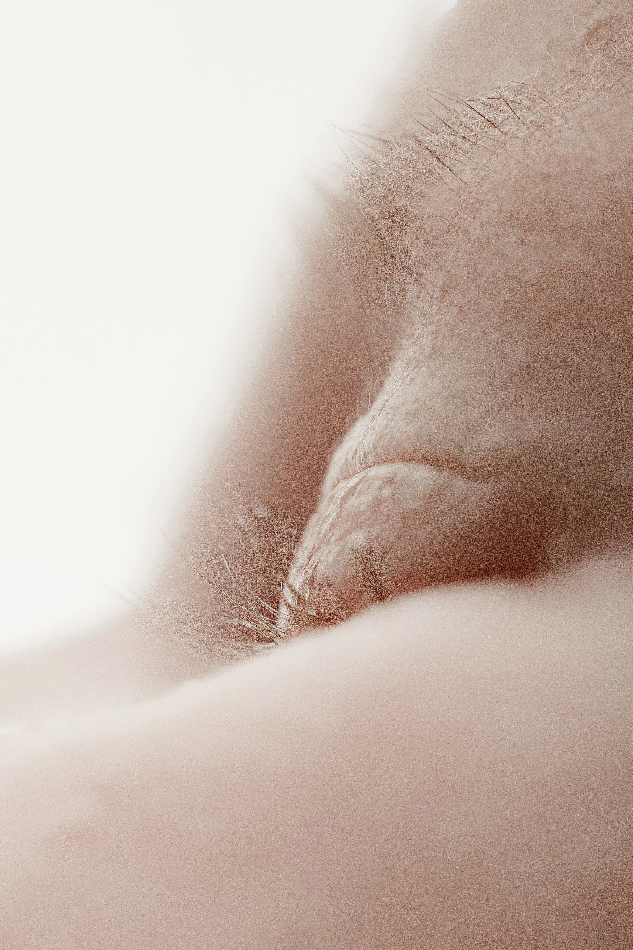 Tiny newborn details including fingers and toes photographed by Ipswich newborn photographer