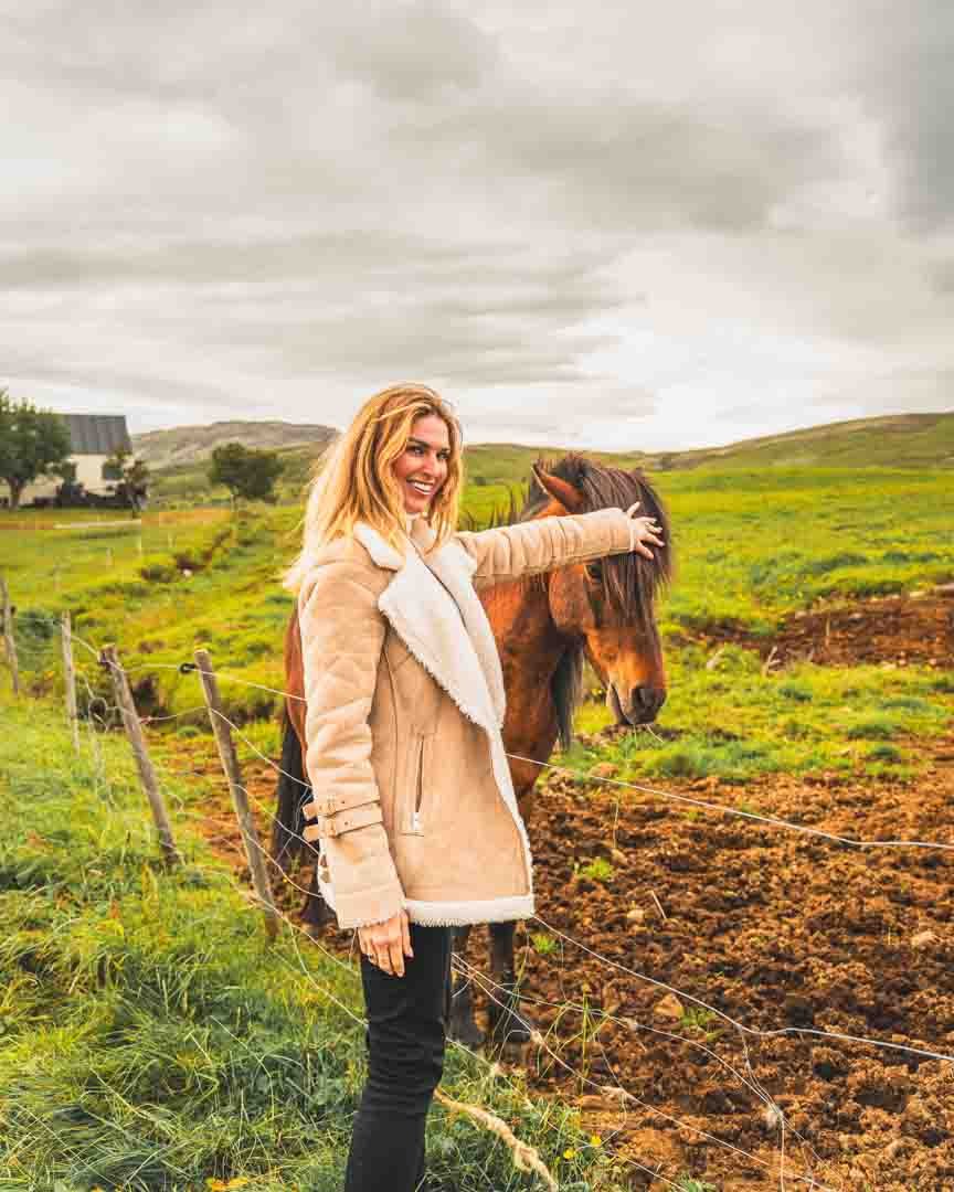 Caballo Islandes Tour Privado Islandia