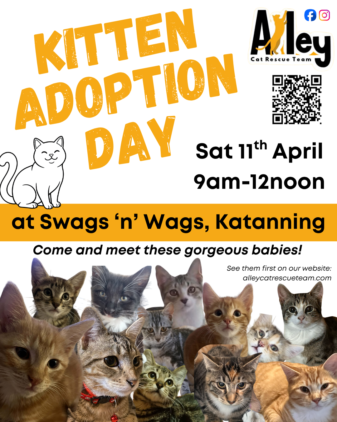 Kitten Adoption Day Ktg Apr 2026.png