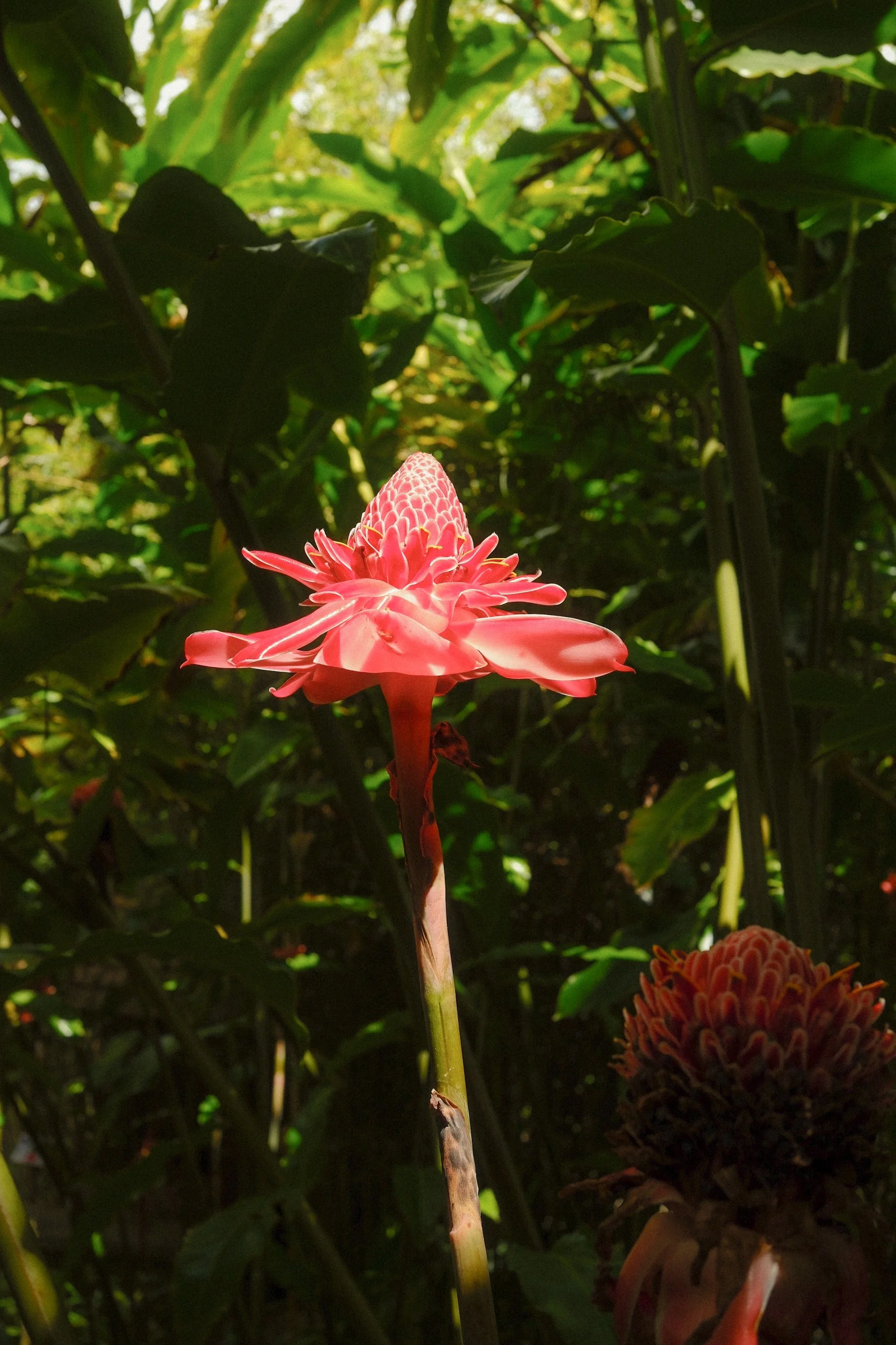 DSCF1301.jpg