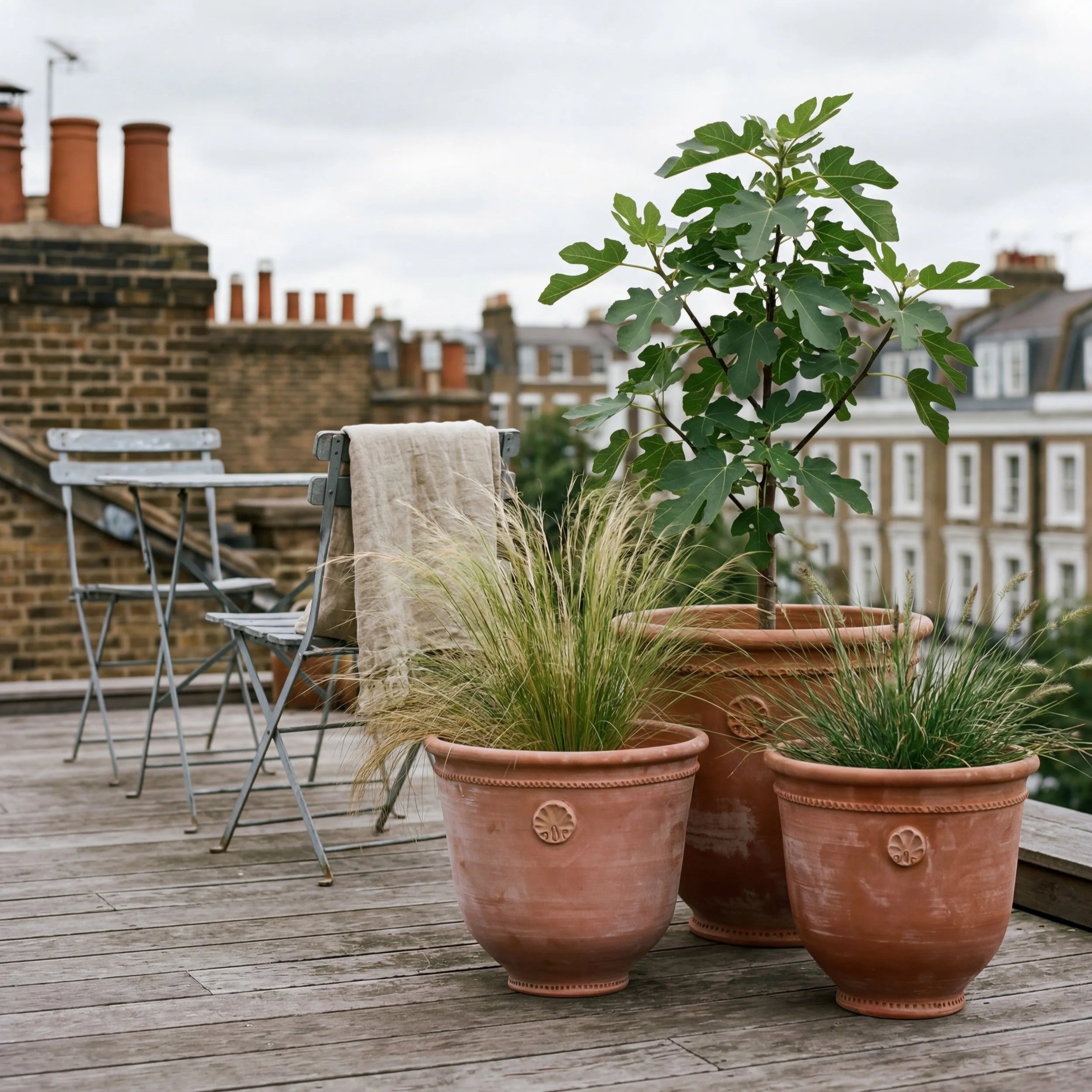 The Coquille - Terracotta Pot by Barbary