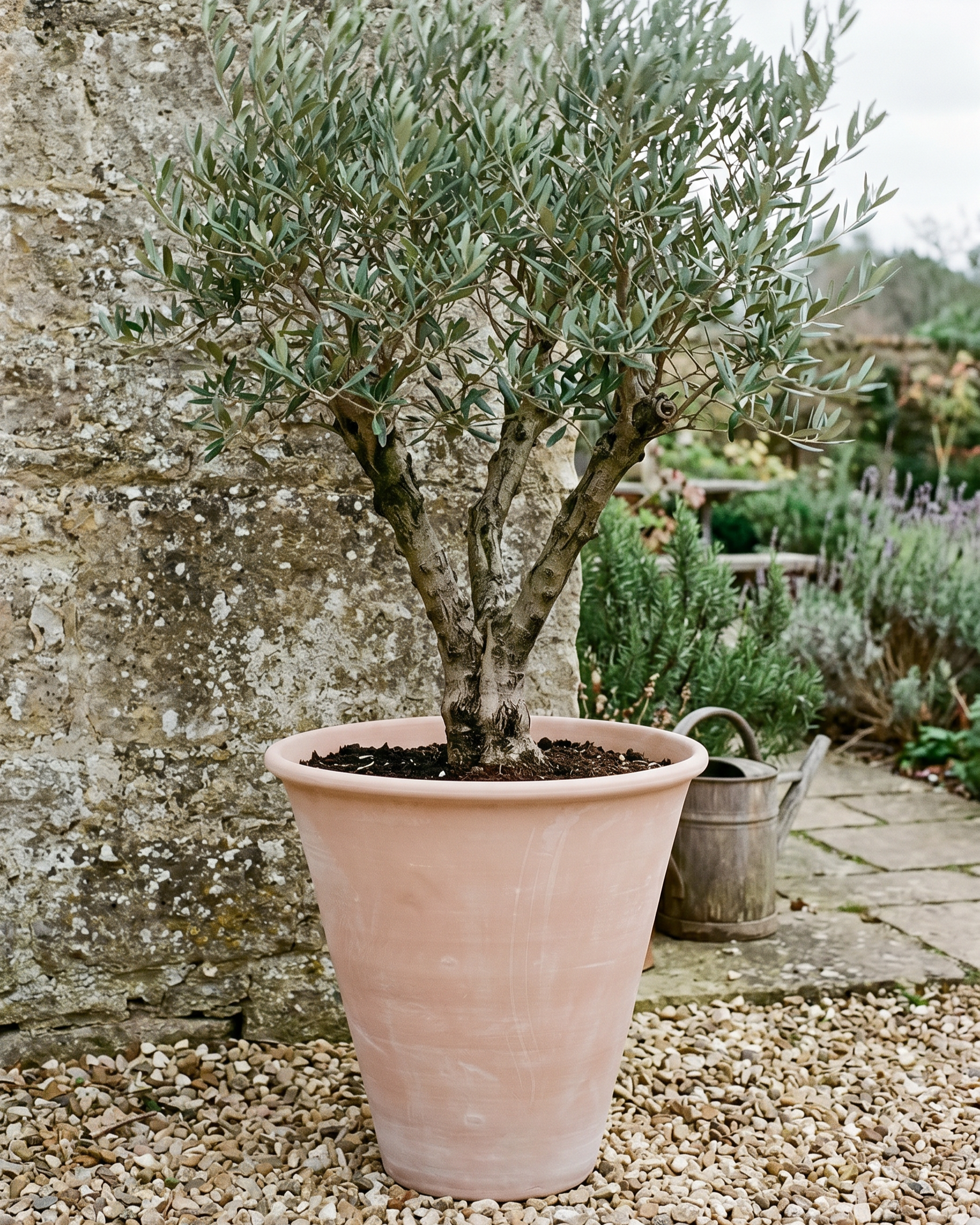 The Small Pot Classic Terracotta Pot