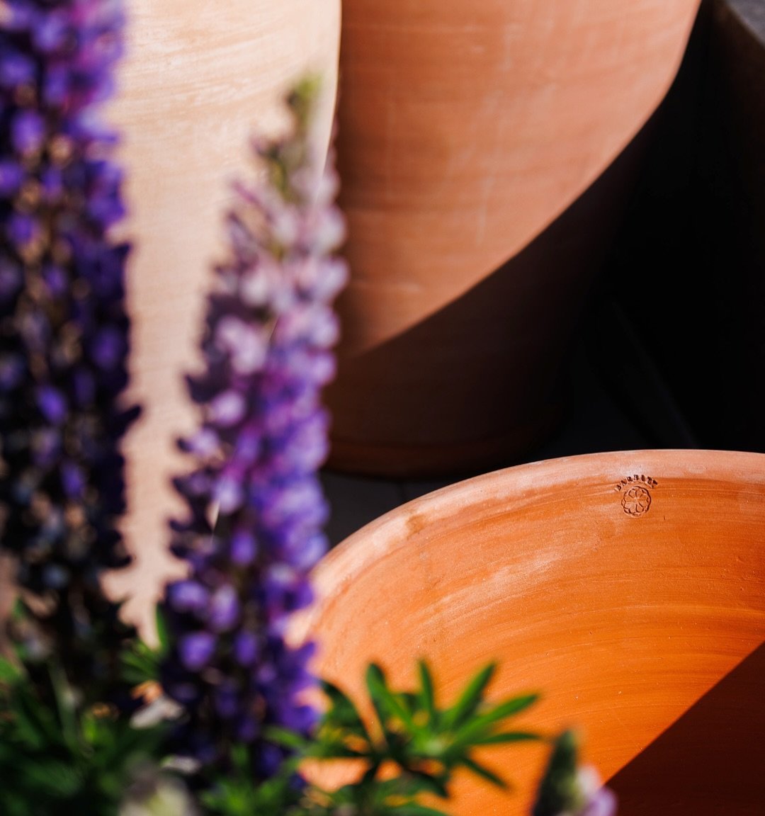 Introducing the Barbary Collection 🪴

Timeless in design, rooted in tradition - every Barbary pot is hand-thrown by Moroccan artisans using age-old techniques.

From the iconic shell-stamped Coquille, once seen in Harrods and The Conran Shop, to rev