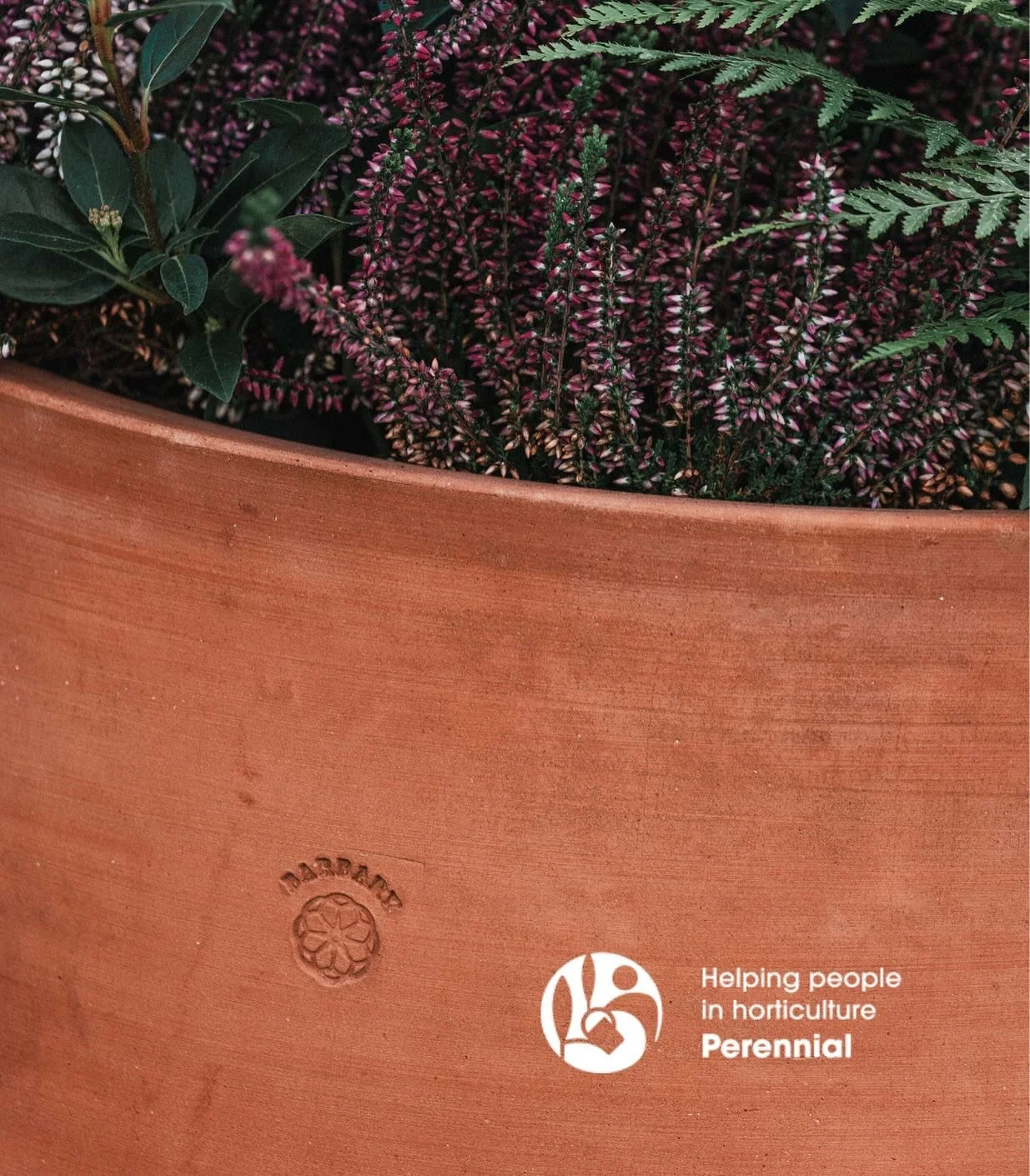 Barbary proudly supports @perennialgrbs 🌿

We&rsquo;re delighted to share that Barbary has become a supporter of @perennialgrbs, the charity dedicated to helping everyone working in horticulture, from gardeners and landscapers to growers and grounds