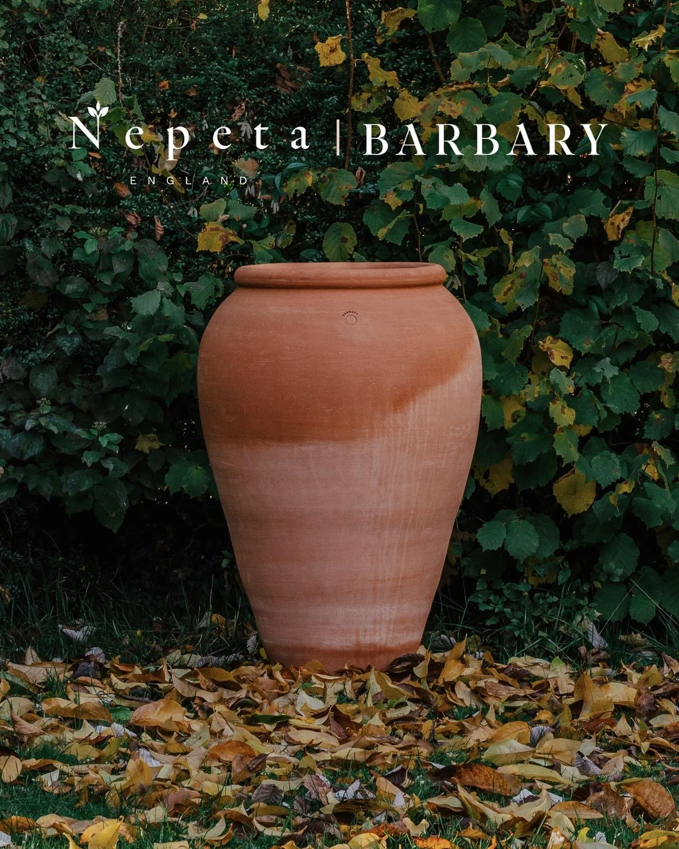 The news is out! 📣

Barbary pots have arrived at @nepetaengland, a beautifully curated nursery that champions pieces with soul, craftsmanship, and story ✨

Our Moroccan pots - hand-thrown in small batches, timeless in form, and frost-resistant to -2