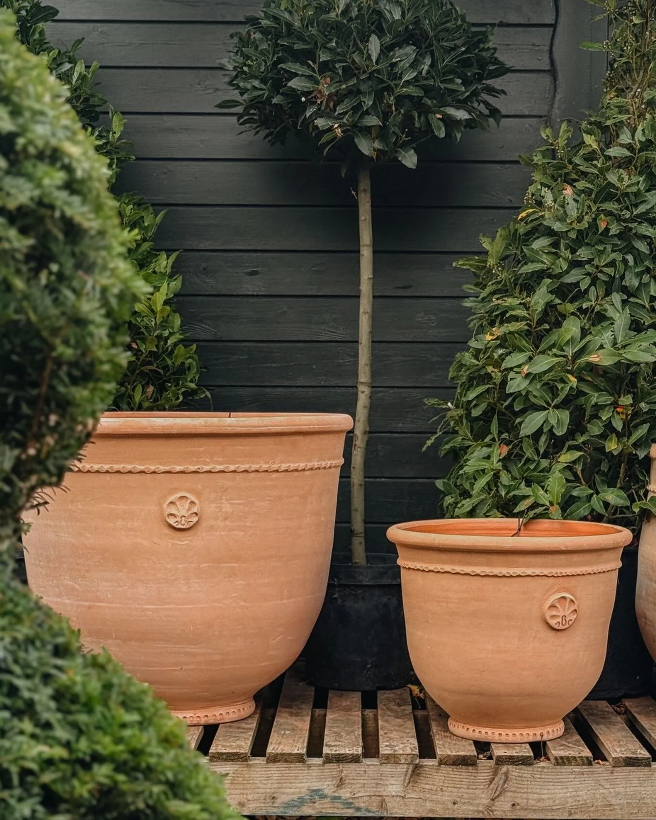 Come and find us in person this Christmas 🎄 

We&rsquo;re proud to be stocked in two beautiful locations:

👉🏼 @burfordgarden, Cotswolds - a dreamy haven for gardeners, makers and design lovers.

👉🏼 @nepetaengland, Kent - a thoughtfully curated s