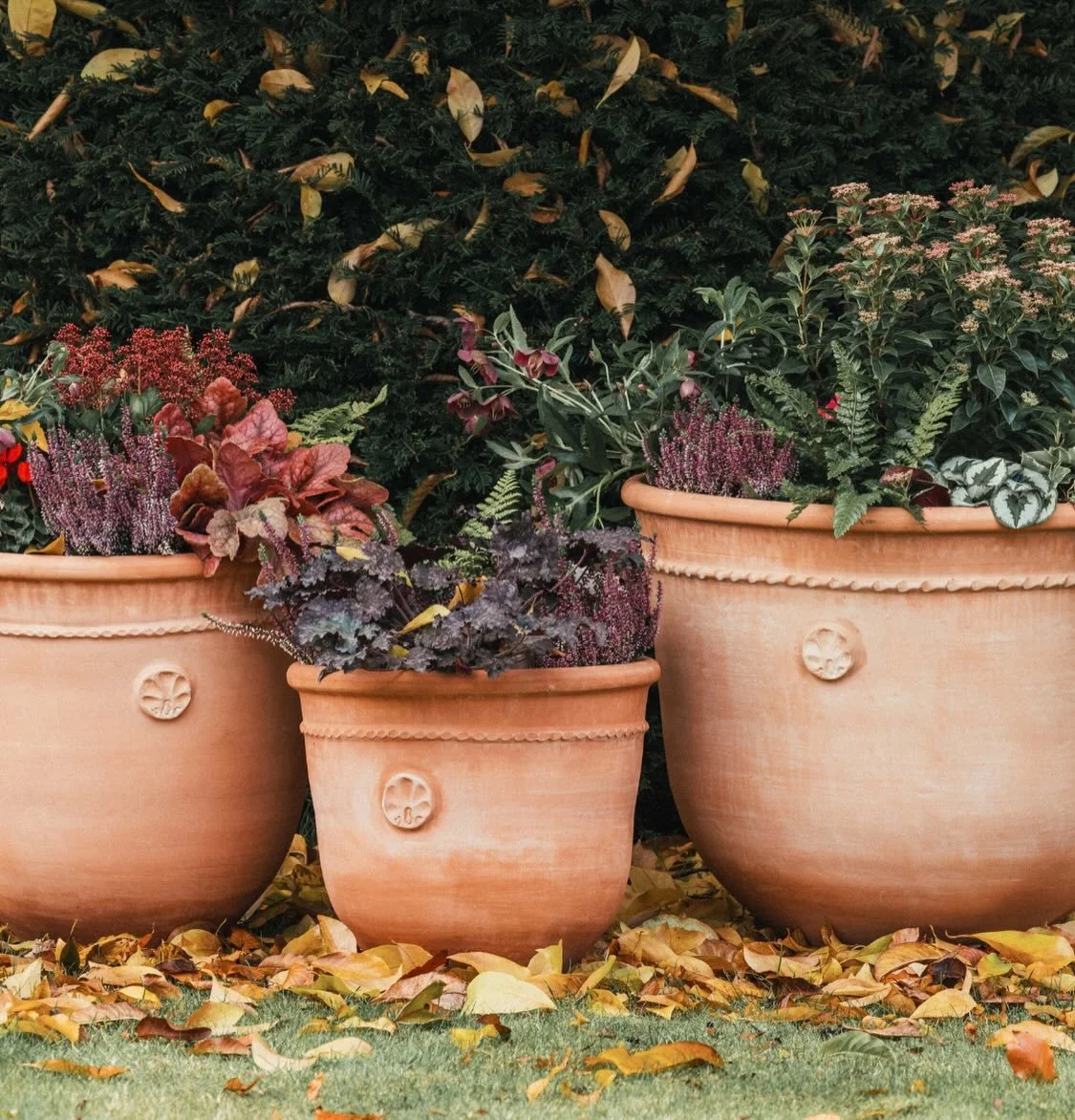 &ldquo;The perfect gift doesn&rsquo;t exist&hellip;&rdquo; 🎁

We think our hand-thrown Coquille, marked with a shell motif and wrapped up under the tree might to change a few minds... 👀

Thoughtful, lasting, and crafted for generations, our pots ma