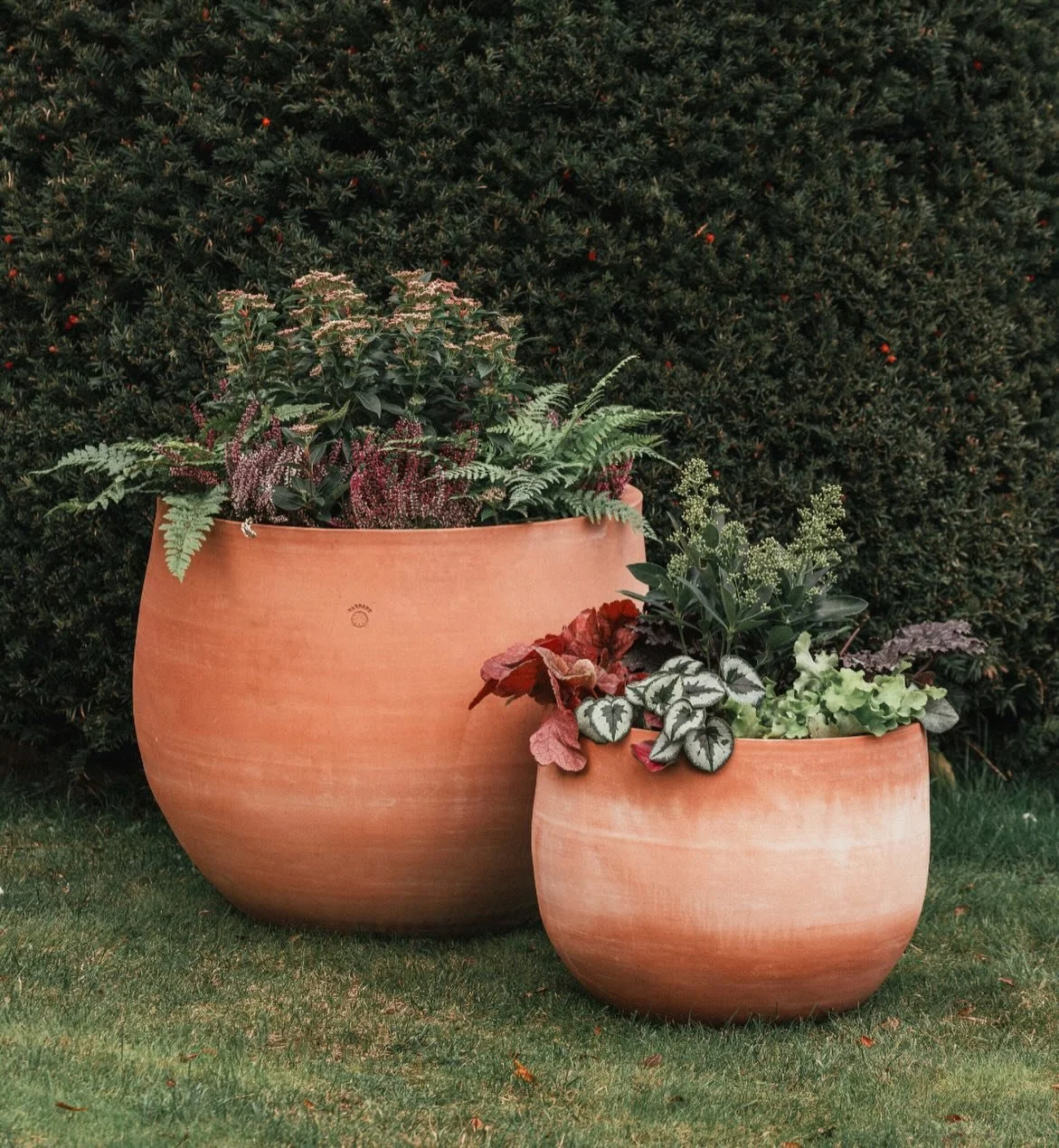 Want to brighten your garden, terrace or balcony this December? 🪴

Here are a few winter-loving plants - inspired by @theenglishgardenmagazine that add colour and interest to your Barbary pots:

🌸 Winter-flowering heathers - soft pinks, purples and
