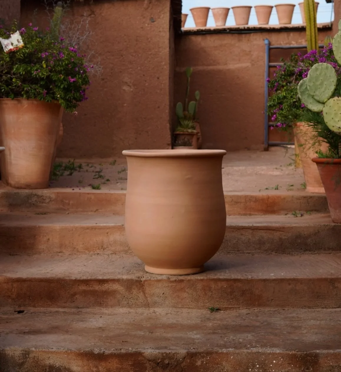 Introducing a new design in the Barbary collection: The Amanar 🪴

Rooted in heritage, The Amanar takes its name from the Amazigh word for Orion - the constellation that guided desert communities across North Africa long before maps, compasses or tec