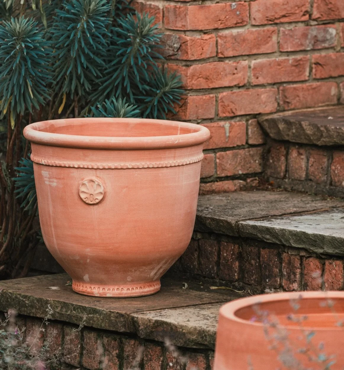 Our bestseller is back in stock: The Coquille.

A timeless piece, shaped by hand and designed to age beautifully over time.

Hit the link in our bio to browse the collection and place an order 🔗

📸 @joeclarkestudio