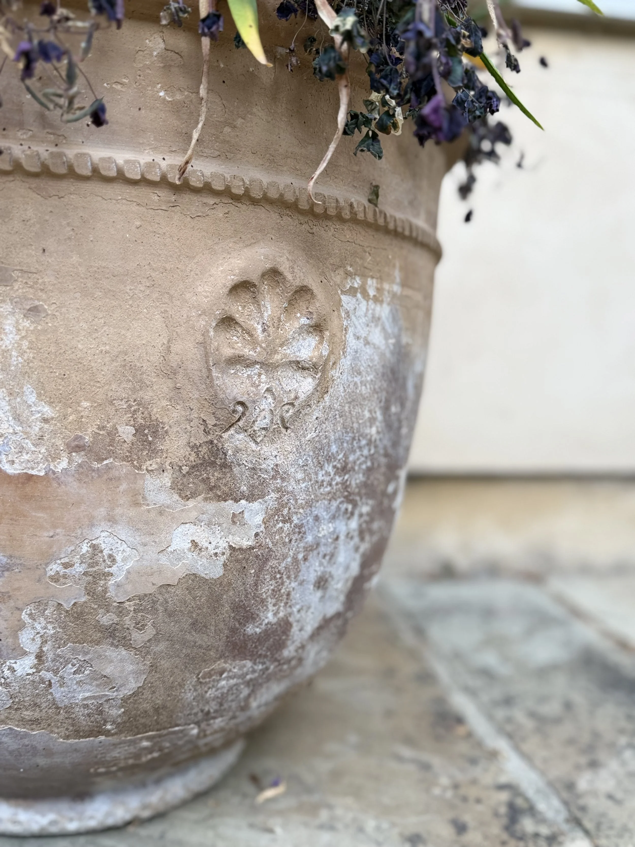 The Coquille - crafted 1993, captured 2025.