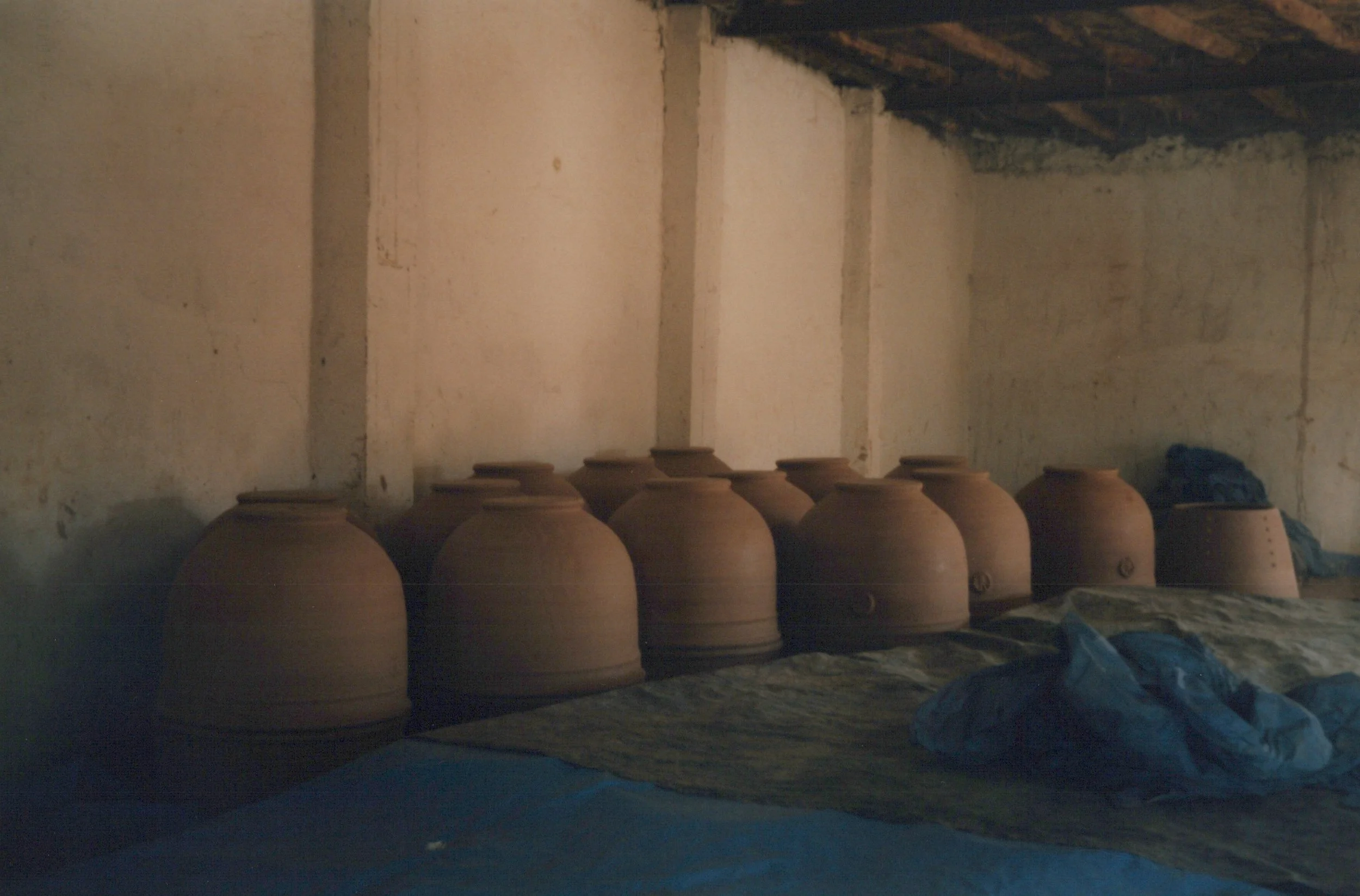 Coquilles drying - crafted 1993, captured 1993.