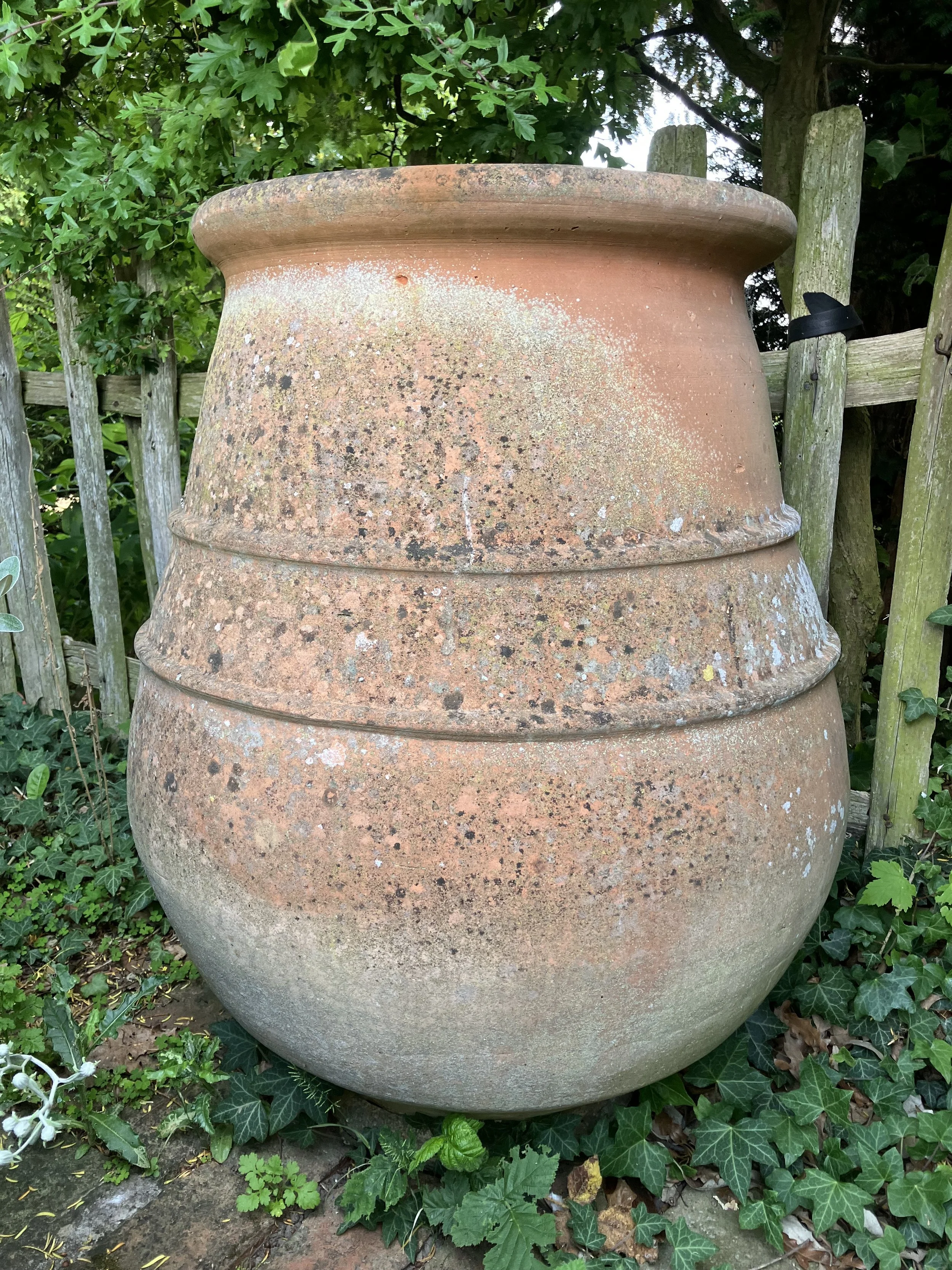 The Alibaba - crafted 1996, captured 2023.