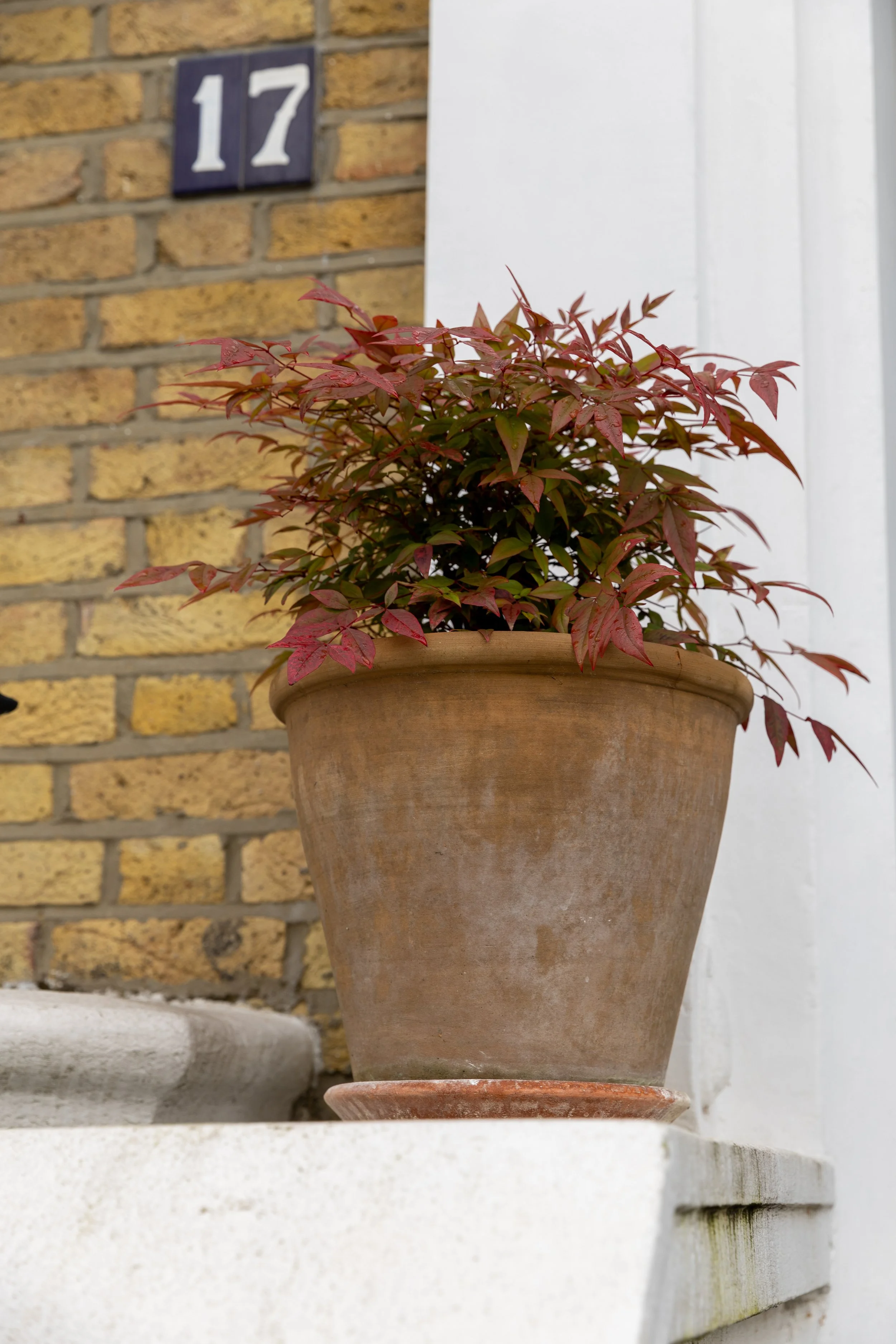 The Small Pot - crafted 1998, captured 2023.