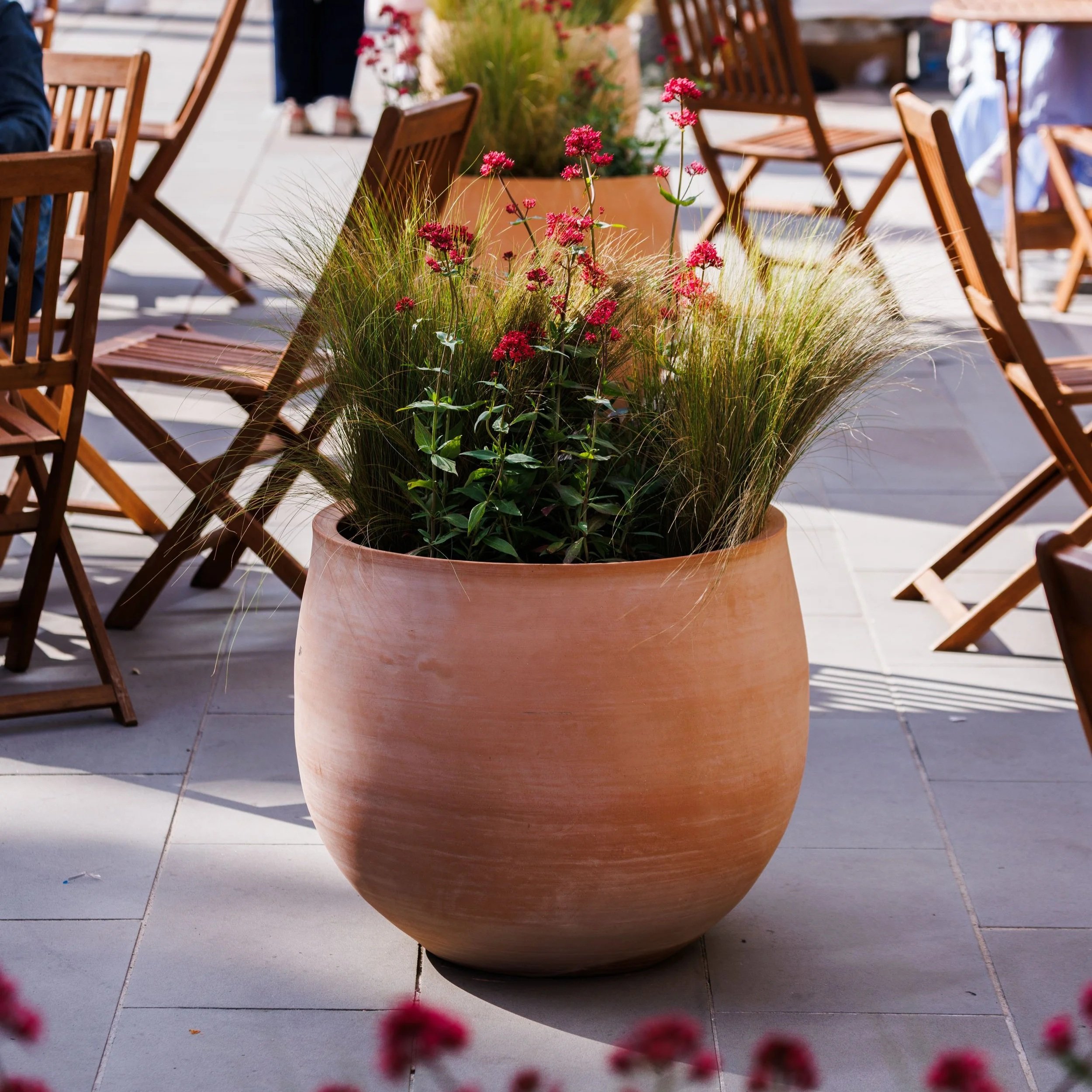 The Gueliz Terracotta Pot